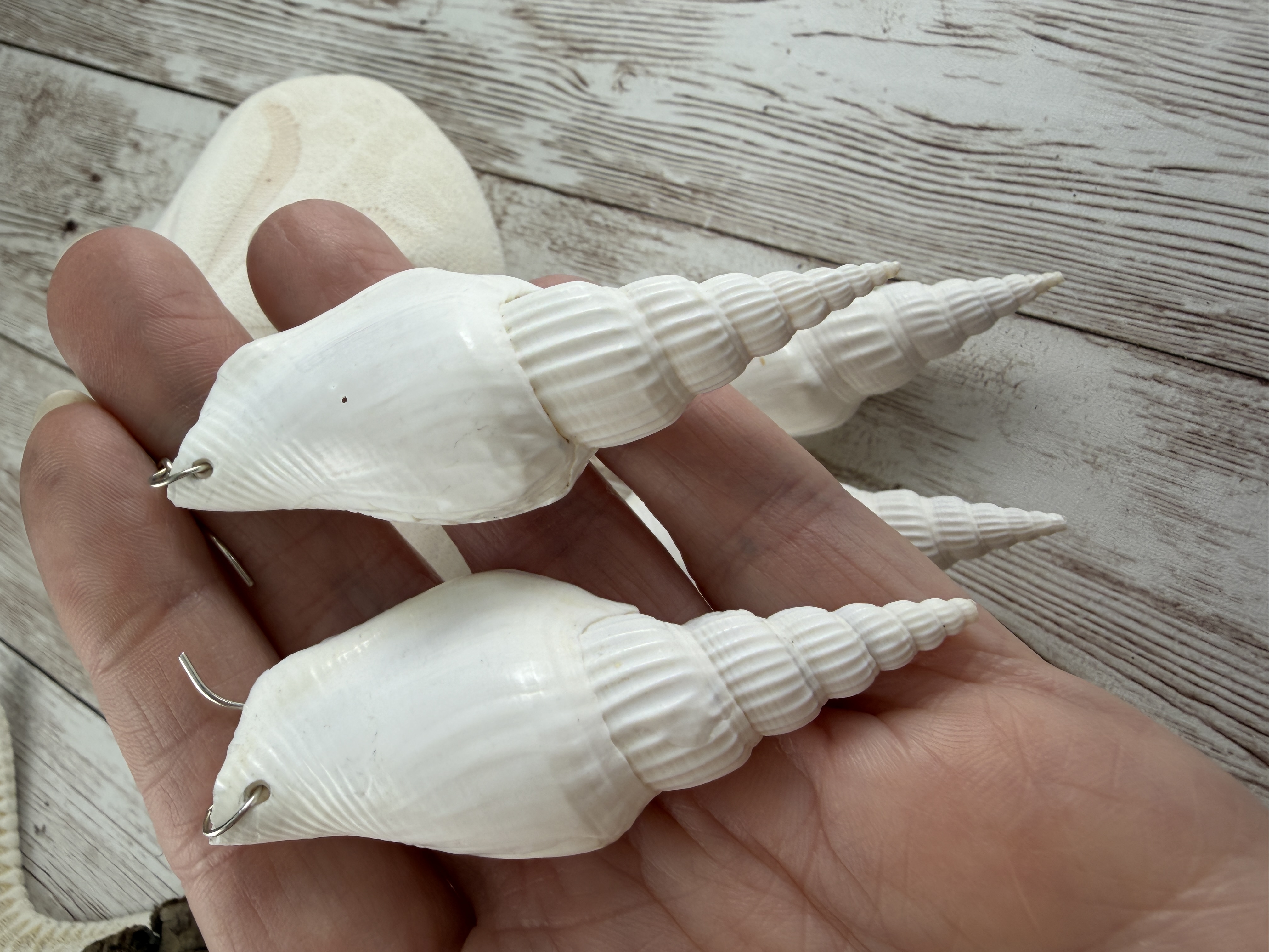 Large Shell Earrings, Gold Fill or Sterling Silver, Bridal Jewelry thumbnail 5