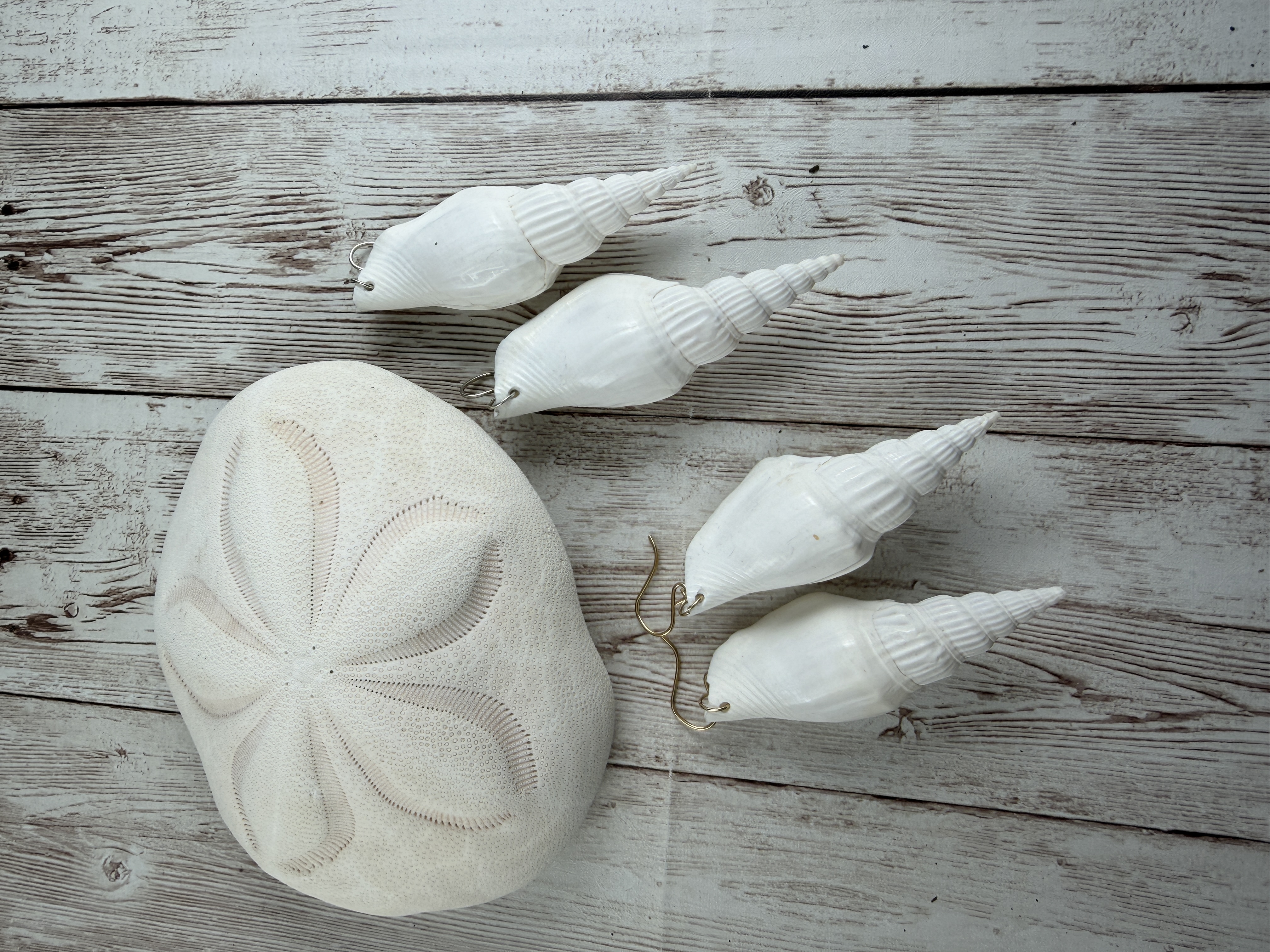 Large Shell Earrings, Gold Fill or Sterling Silver, Bridal Jewelry thumbnail 3