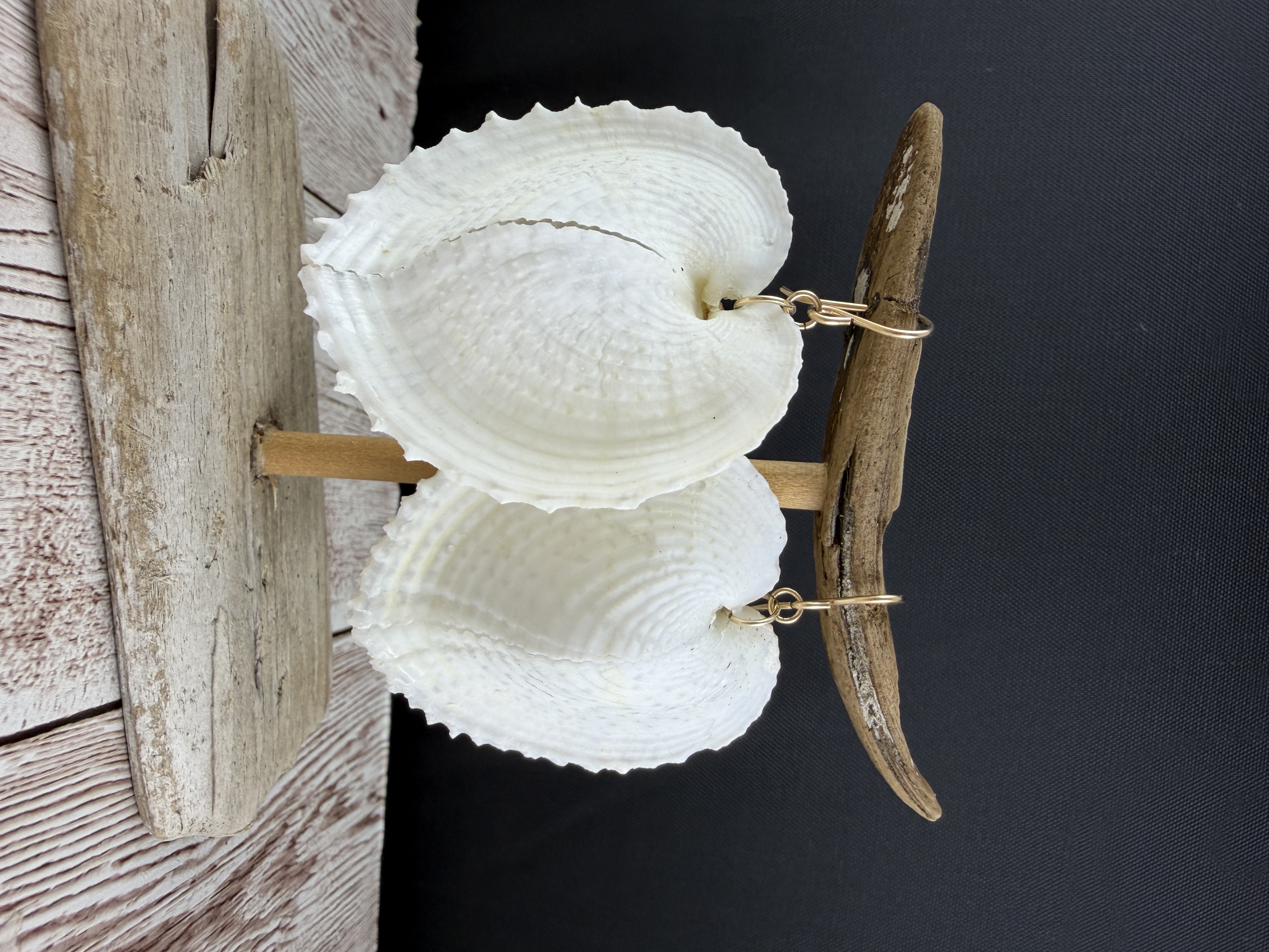 Heart Cockle Shell Earrings, Gold Fill or Sterling Silver, Bridal Jewelry thumbnail 4