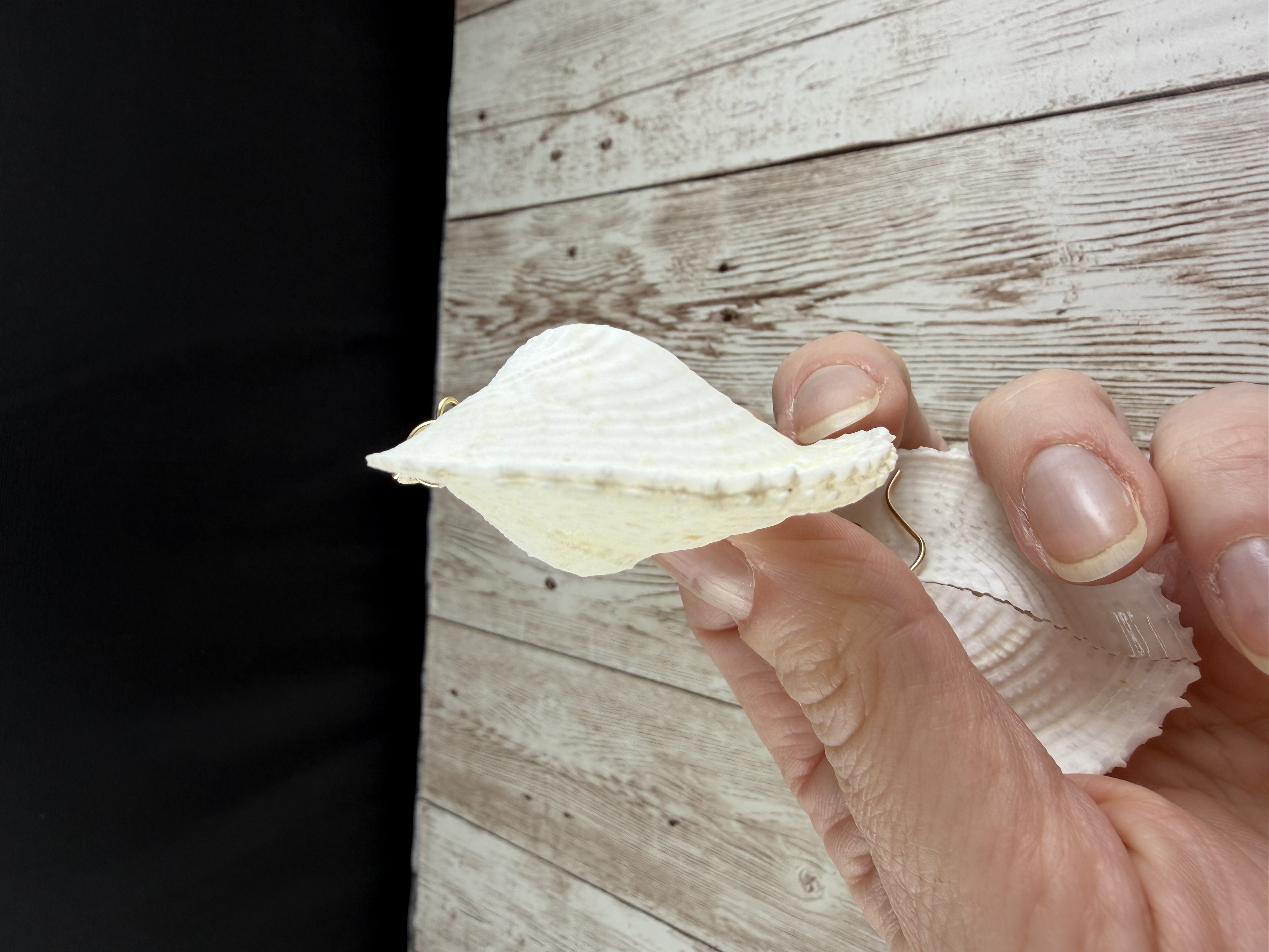 Heart Cockle Shell Earrings, Gold Fill or Sterling Silver, Bridal Jewelry thumbnail 5