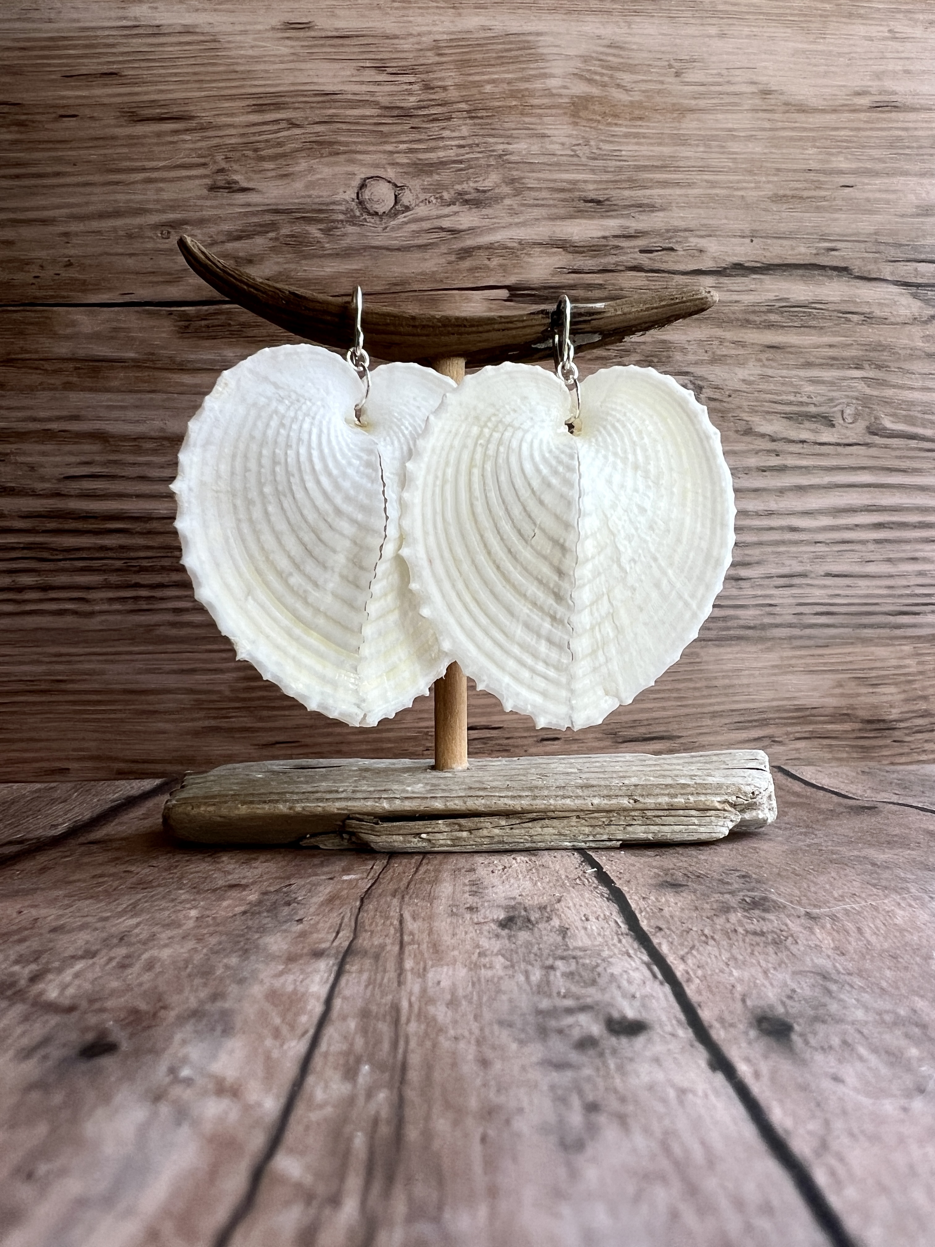 Heart Cockle Shell Earrings, Gold Fill or Sterling Silver, Bridal Jewelry