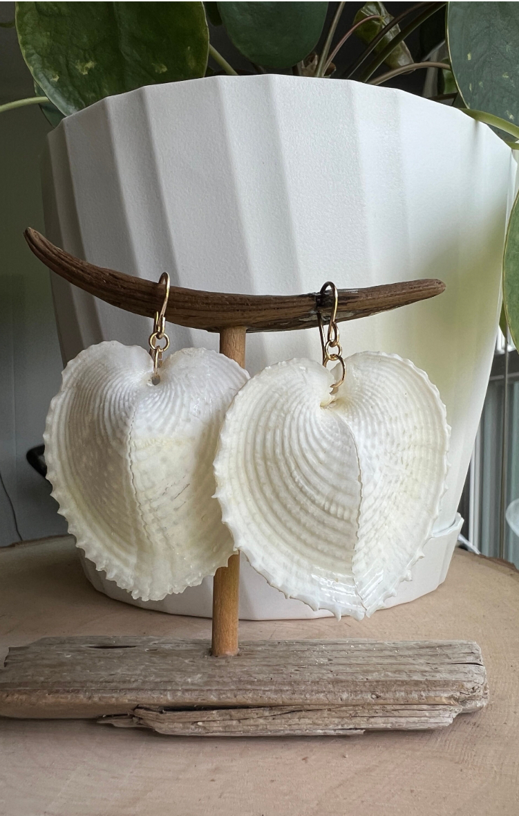 Heart Cockle Shell Earrings, Gold Fill or Sterling Silver, Bridal Jewelry thumbnail 7