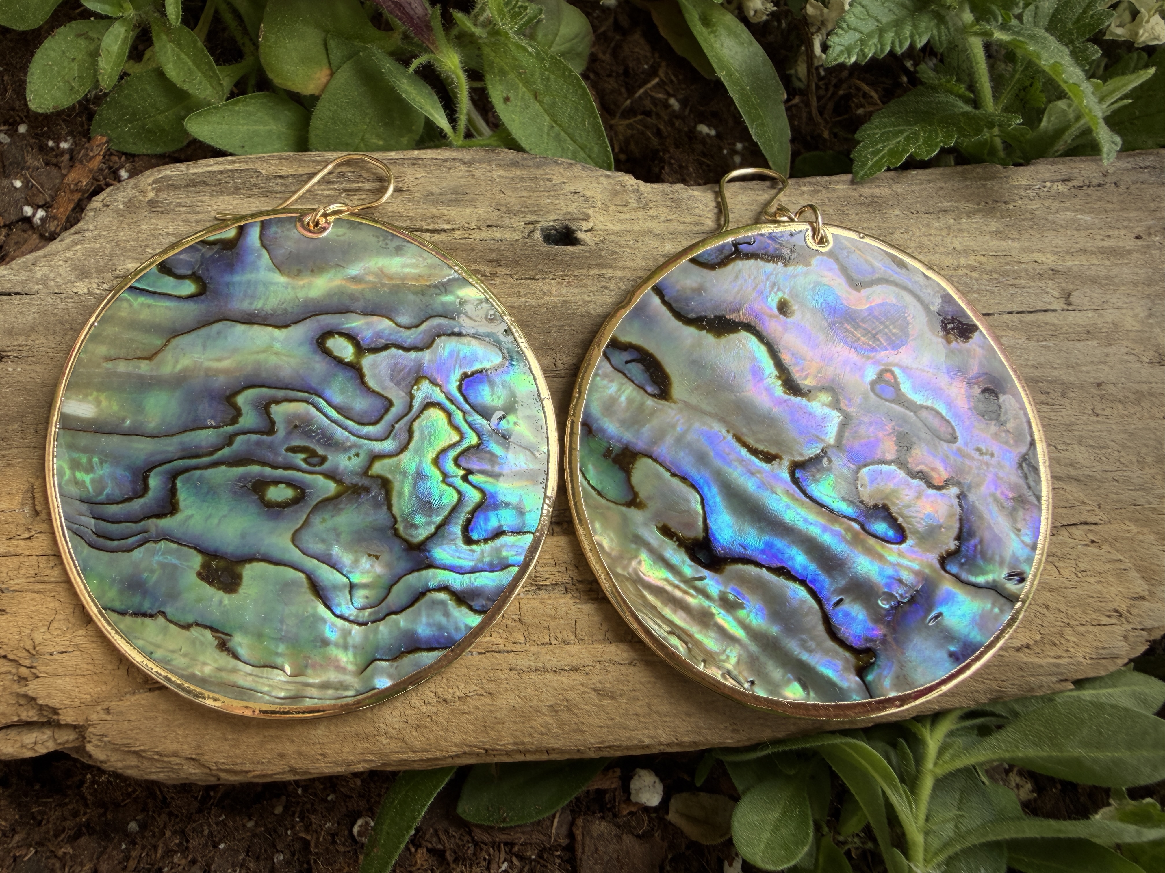 Large Gold Rimmed Abalone Earrings No. 3 thumbnail 4