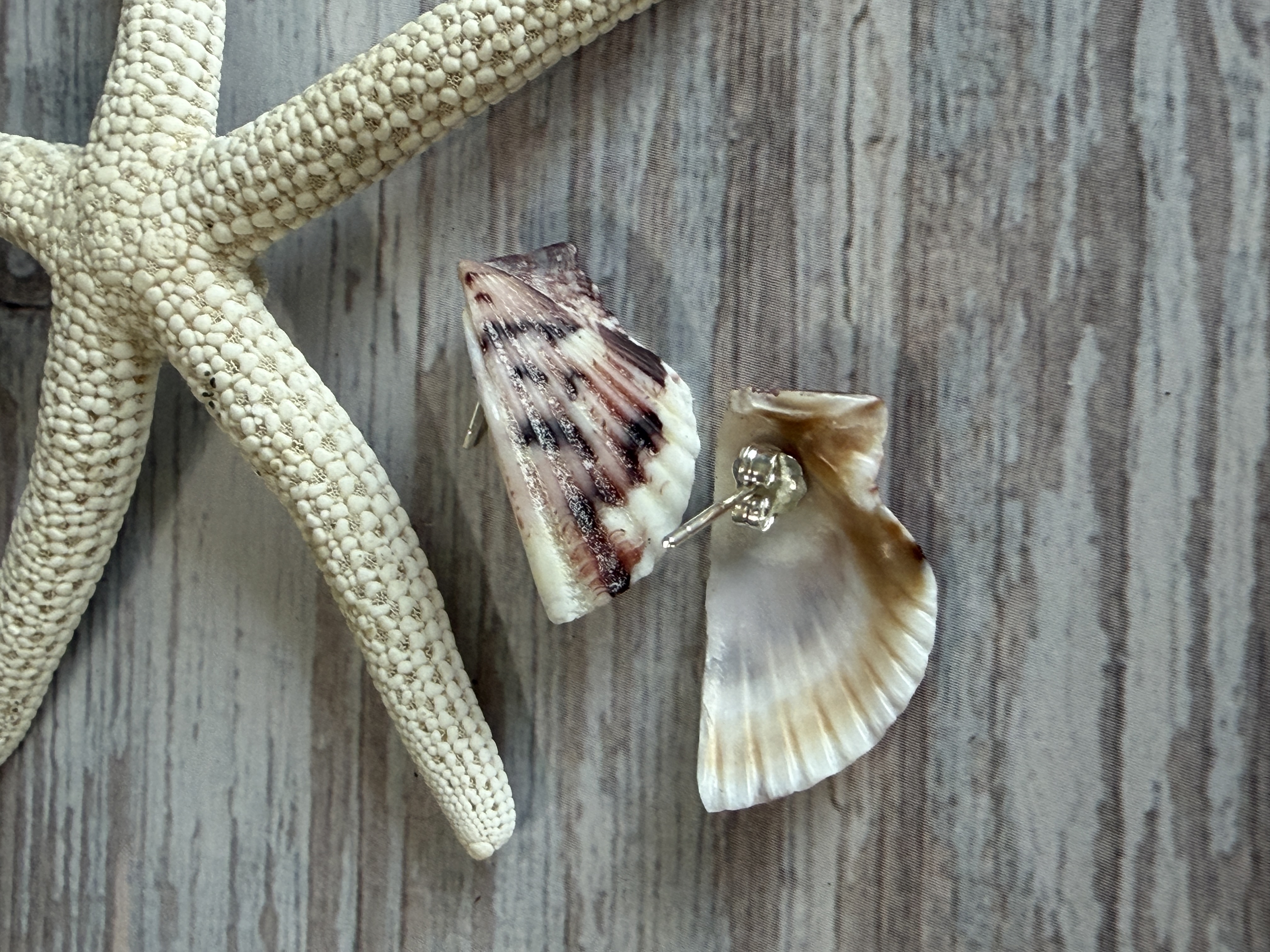 Half Shell Stud Earrings #1 thumbnail 4