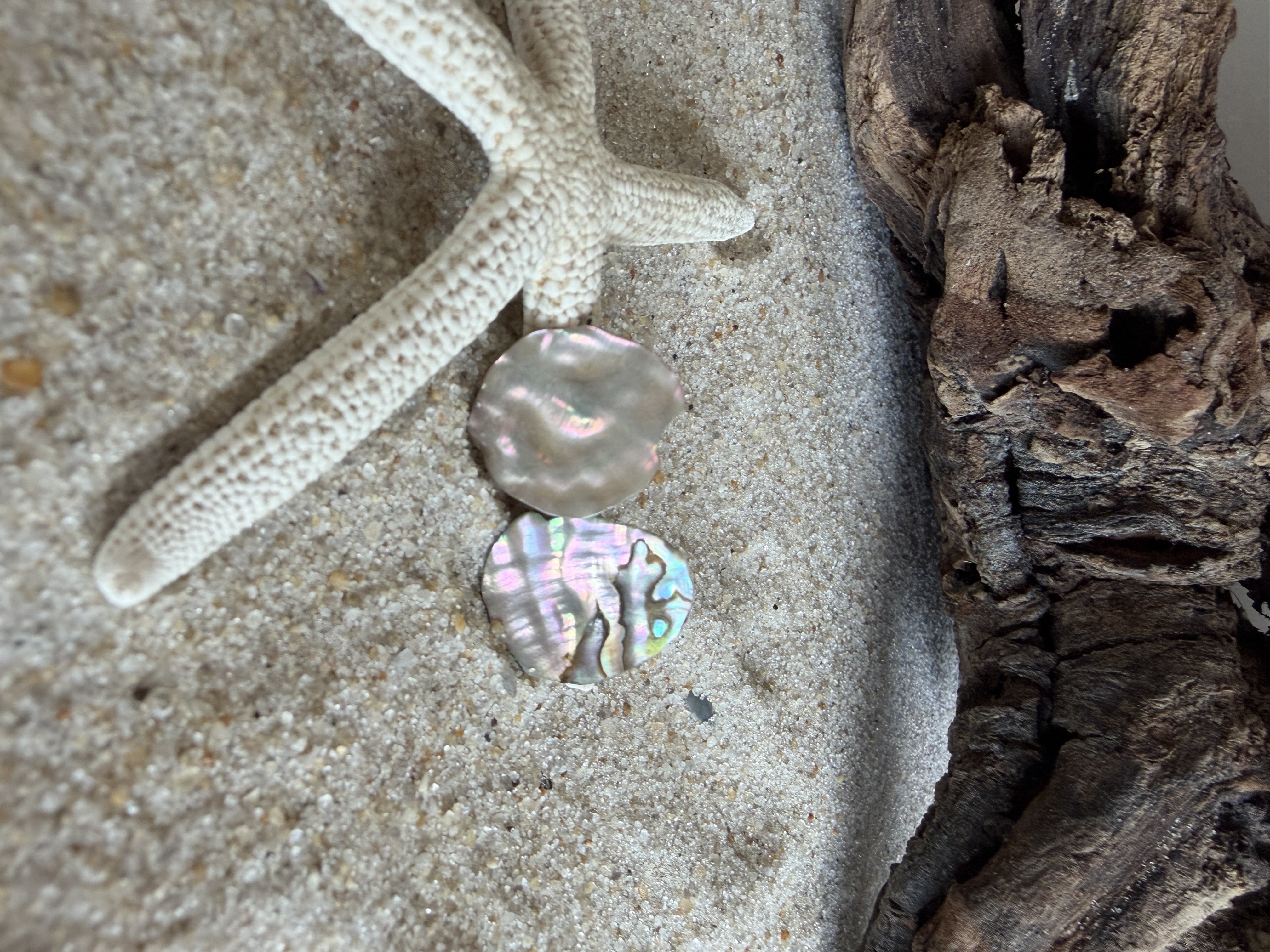 Abalone Shell Studs No. 7 image 3