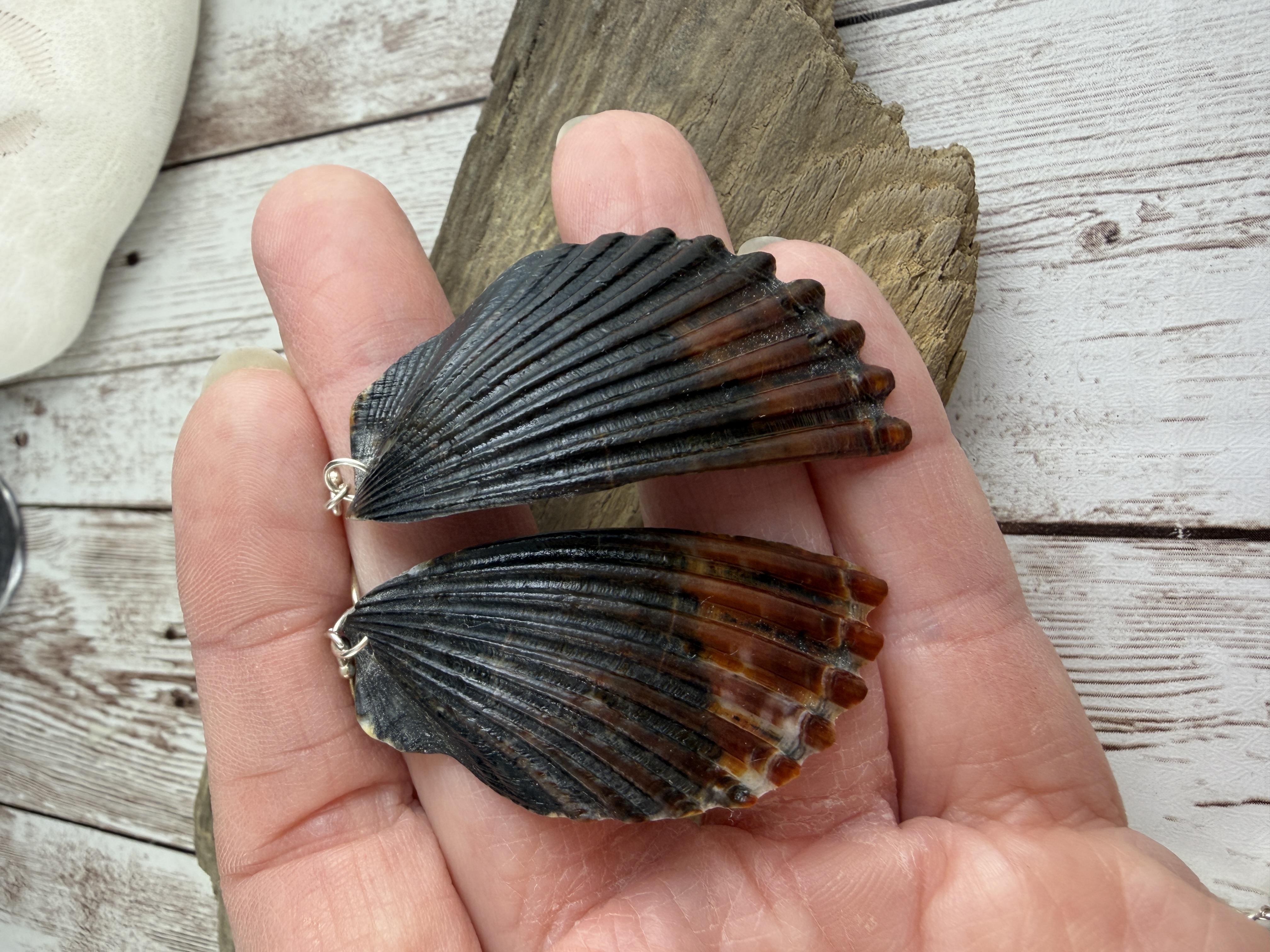 Half Shell Earrings No. 1 image 4