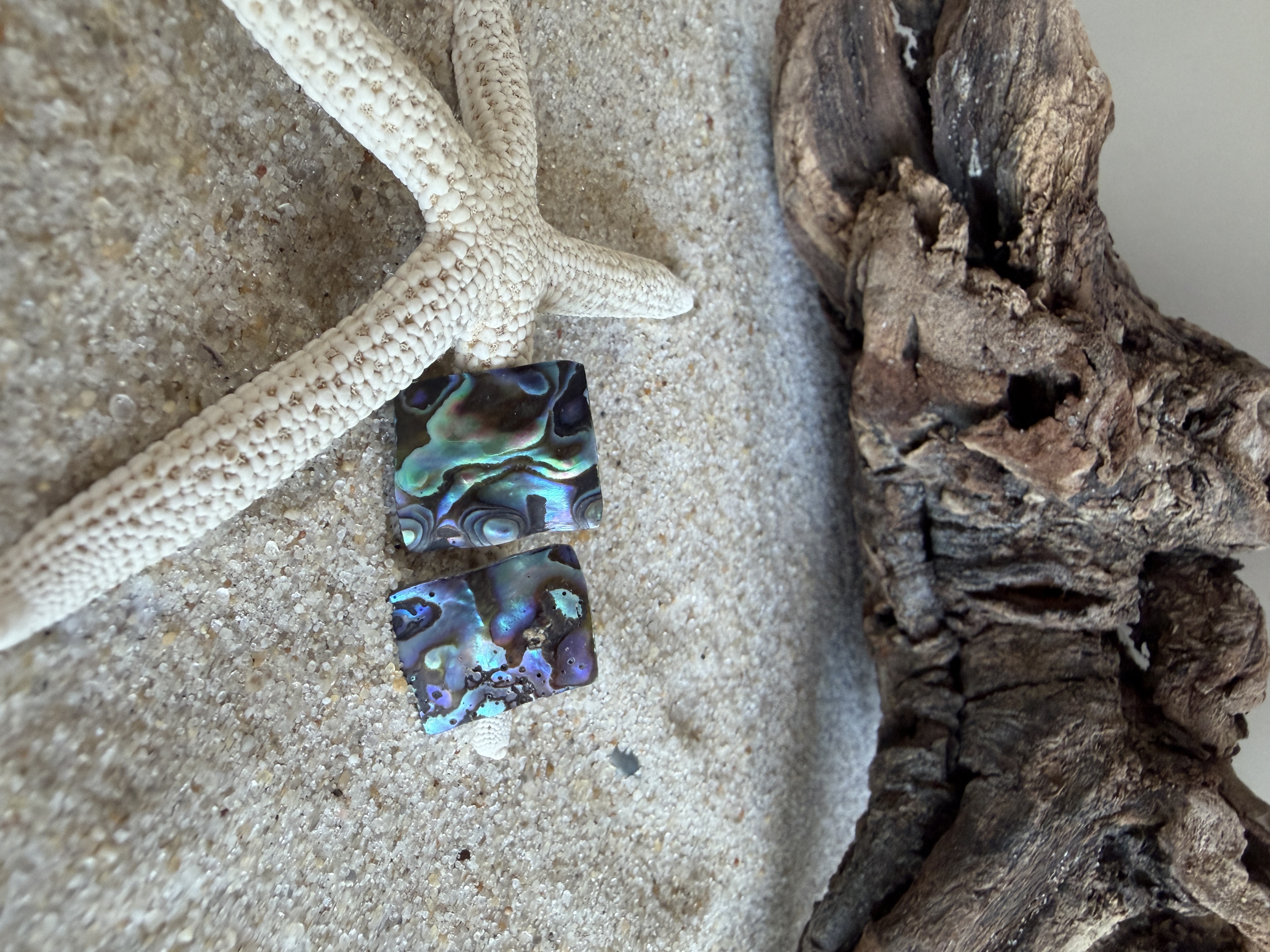 Abalone Shell Studs No. 9 image 3