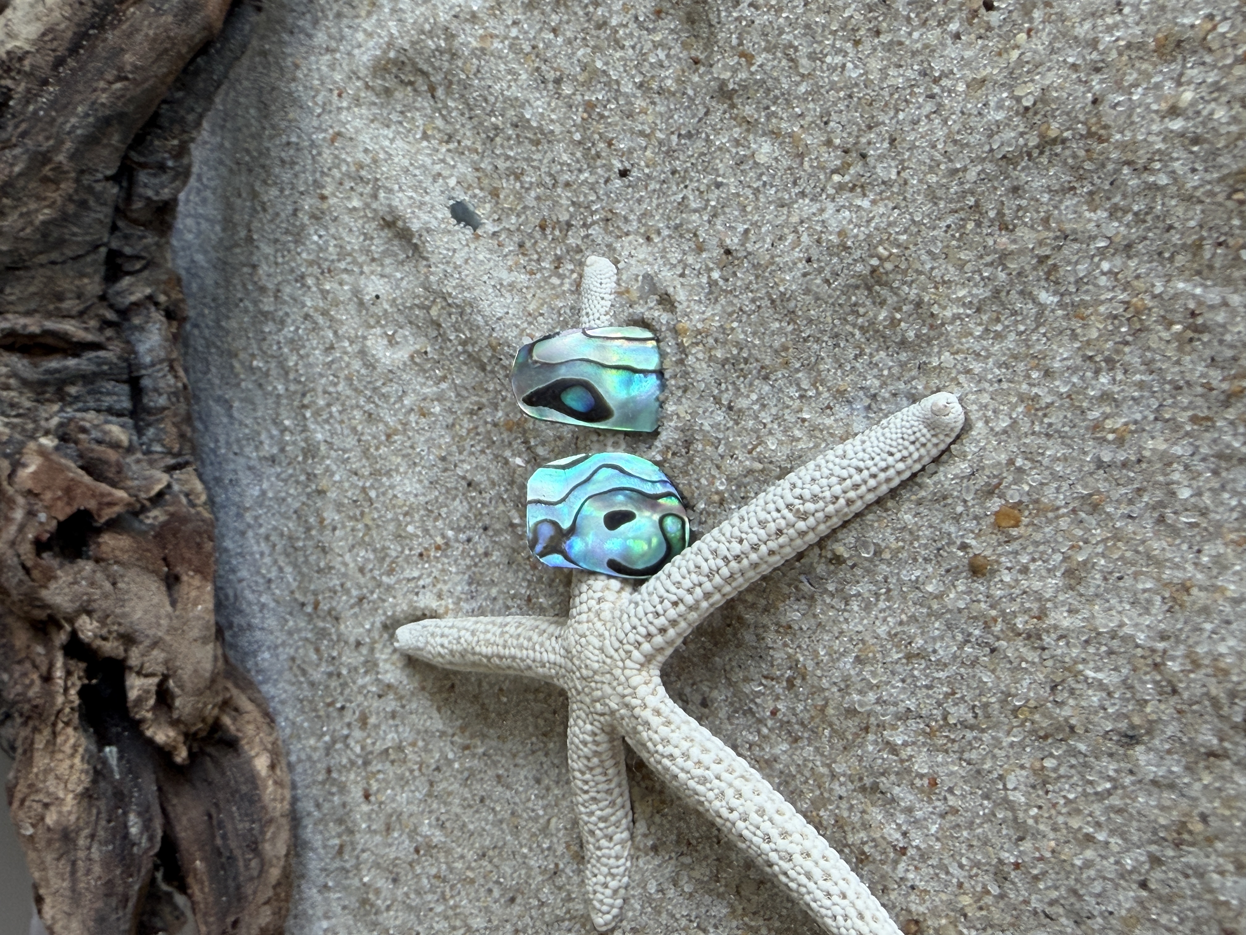 Abalone Shell Studs No. 8 image 2