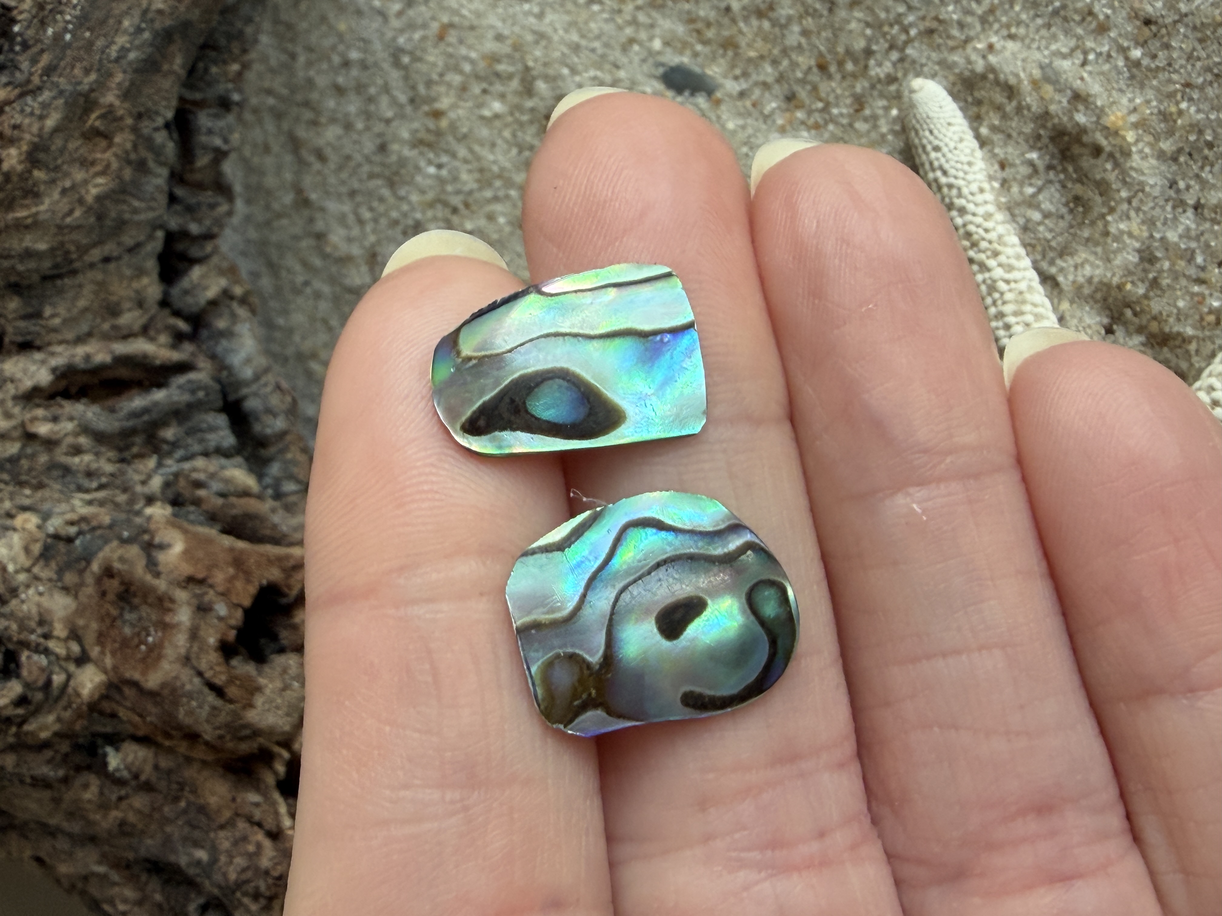 Abalone Shell Studs No. 8 image 3