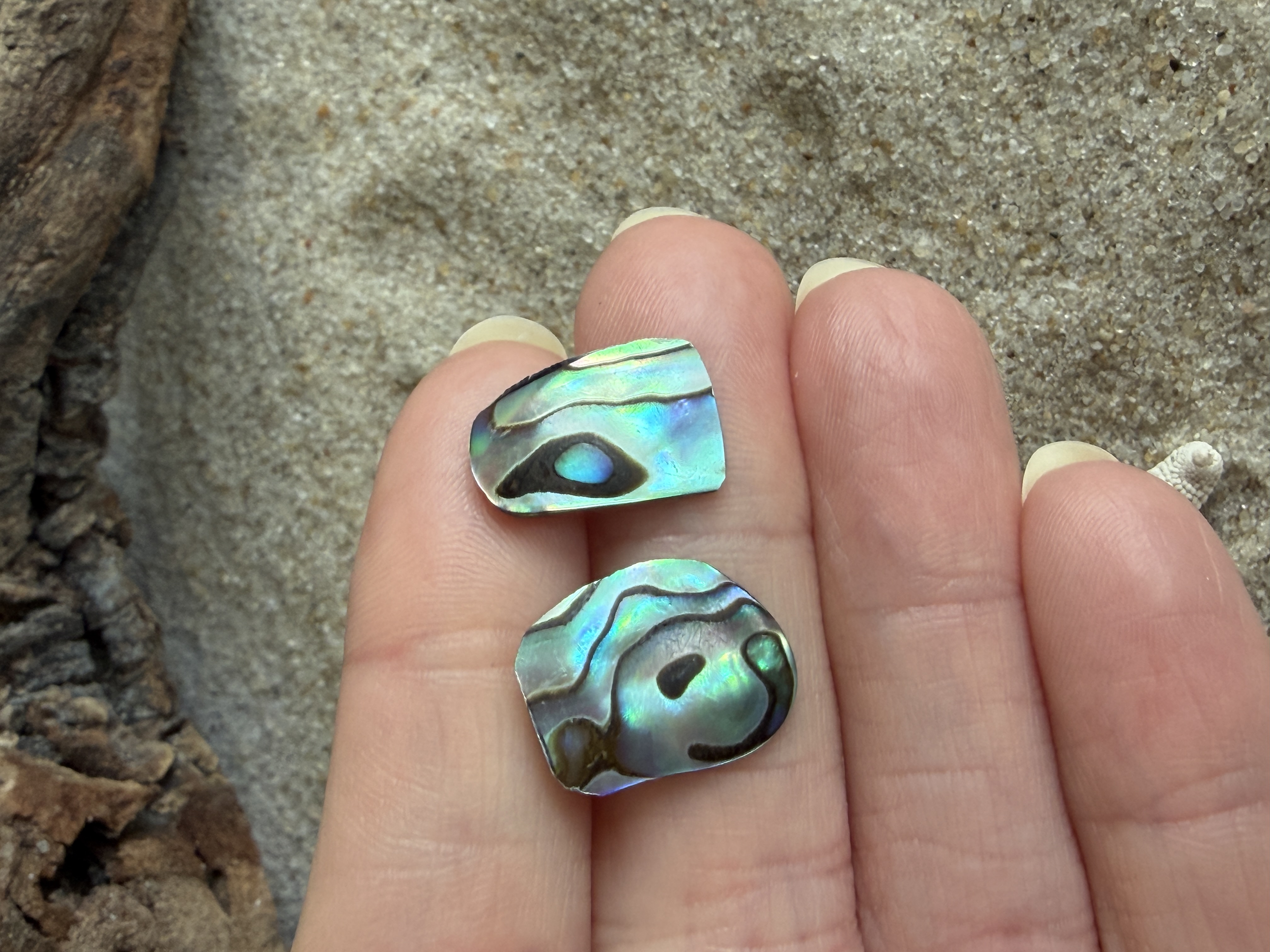 Abalone Shell Studs No. 8 image 4