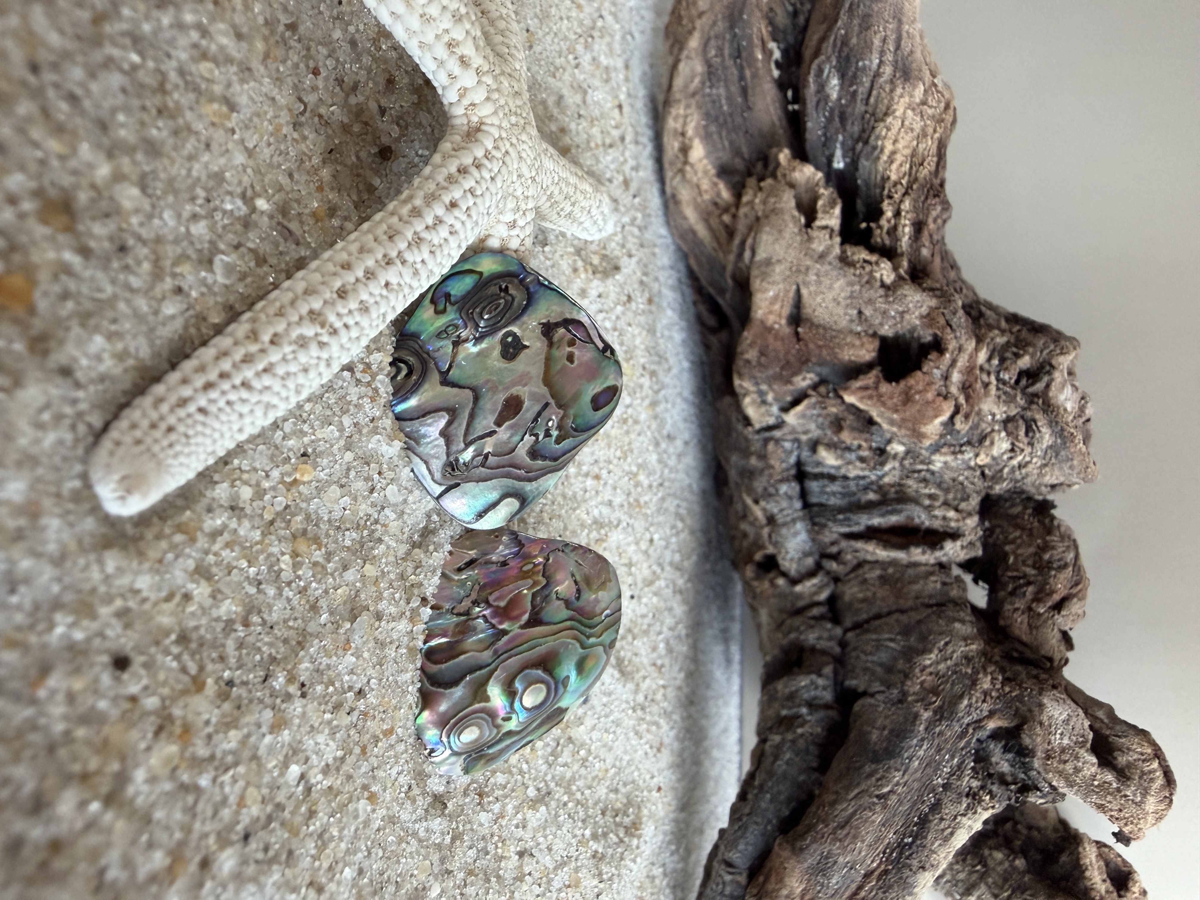 Abalone Shell Studs No. 3 image 4
