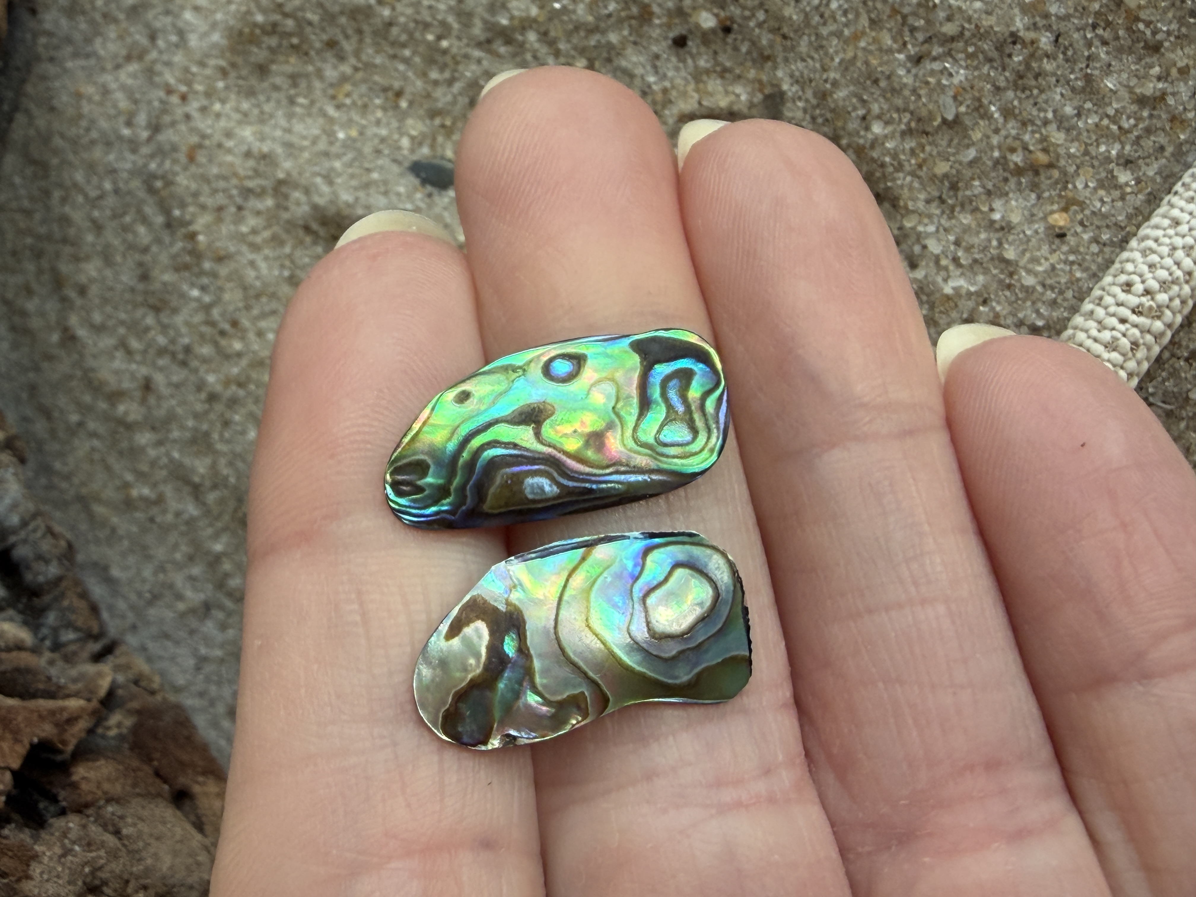 Abalone Shell Studs No. 4 image 2