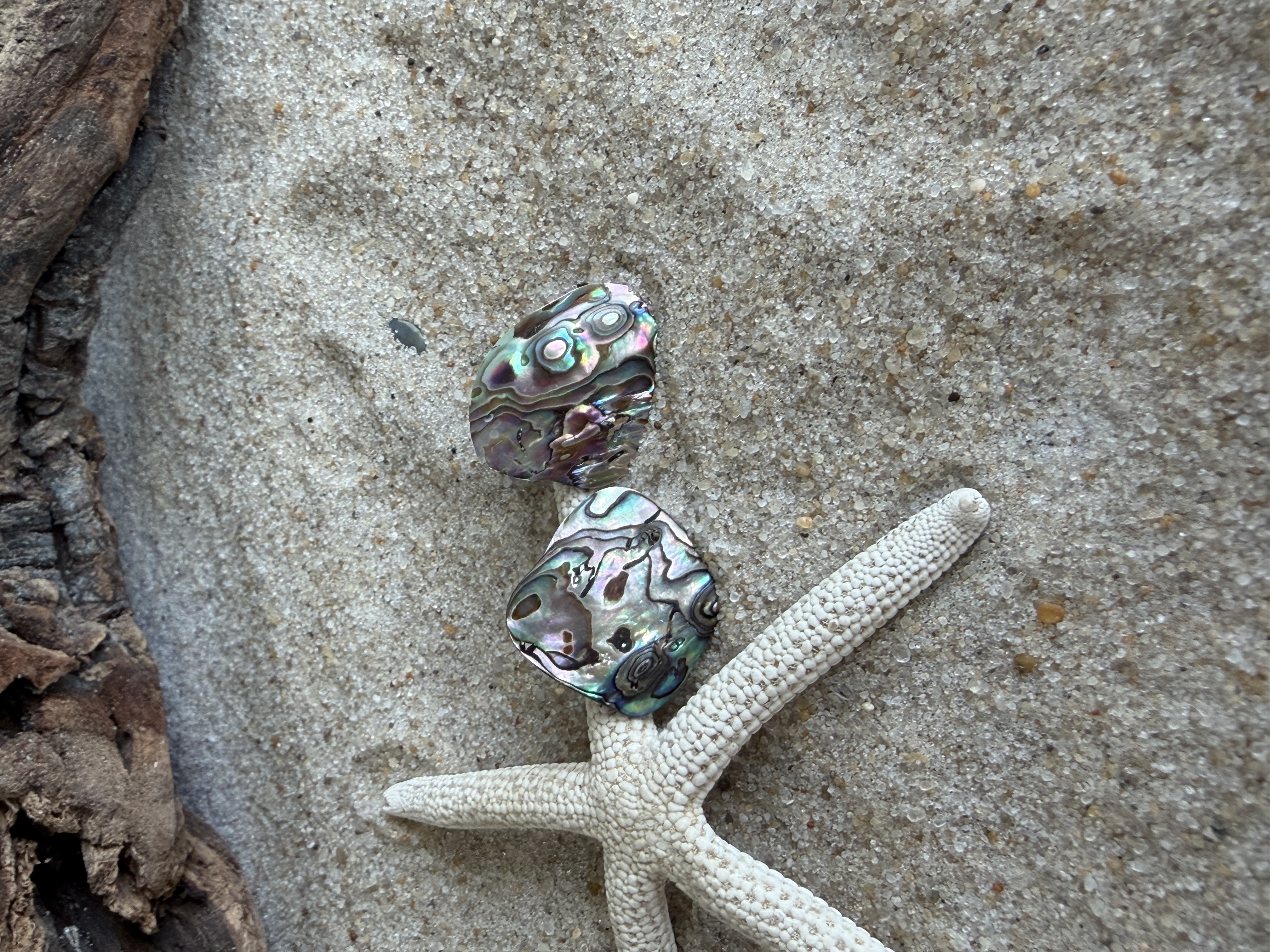 Abalone Shell Studs No. 3 image 5