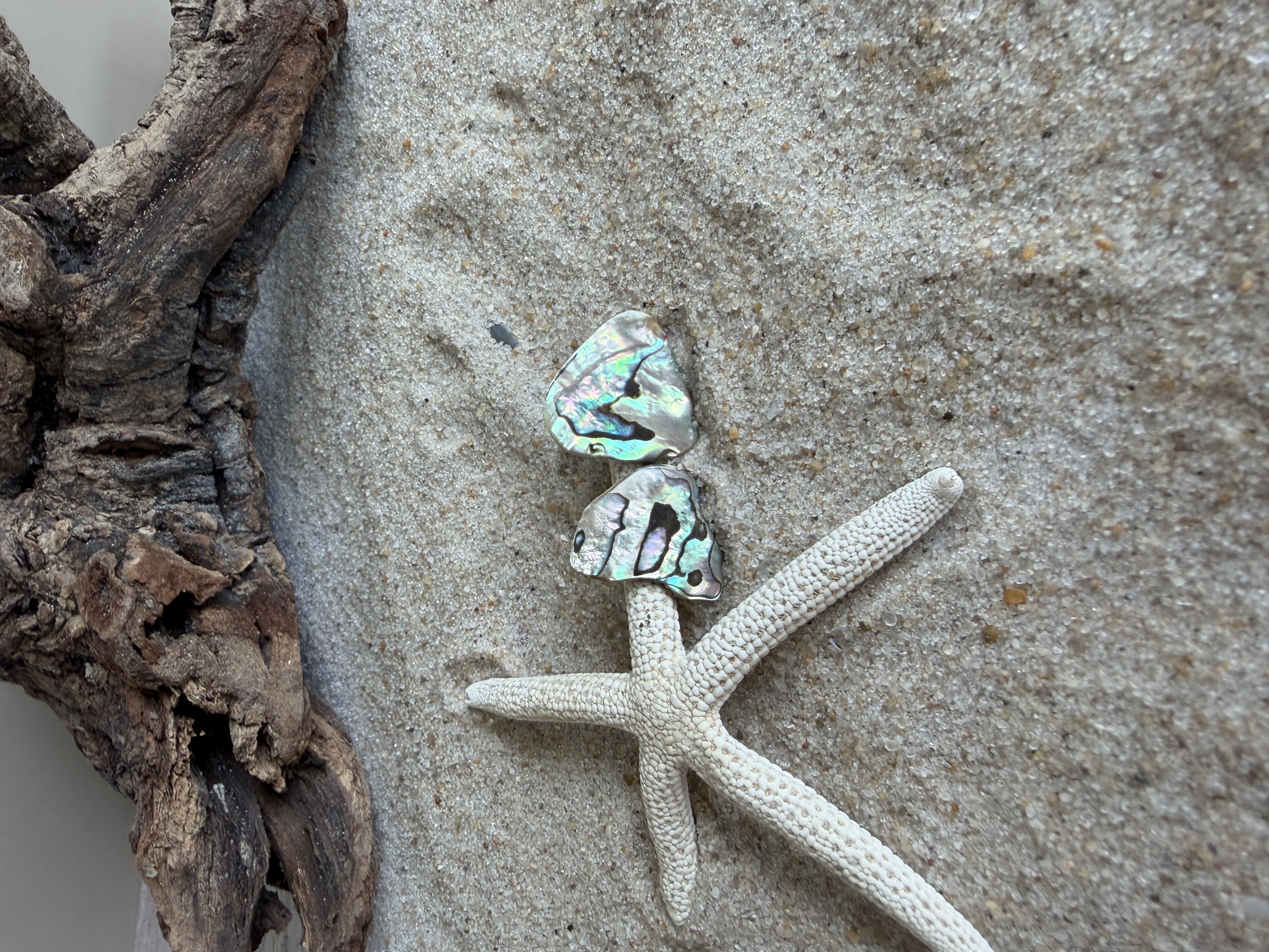 Abalone Shell Studs No. 6 image 5