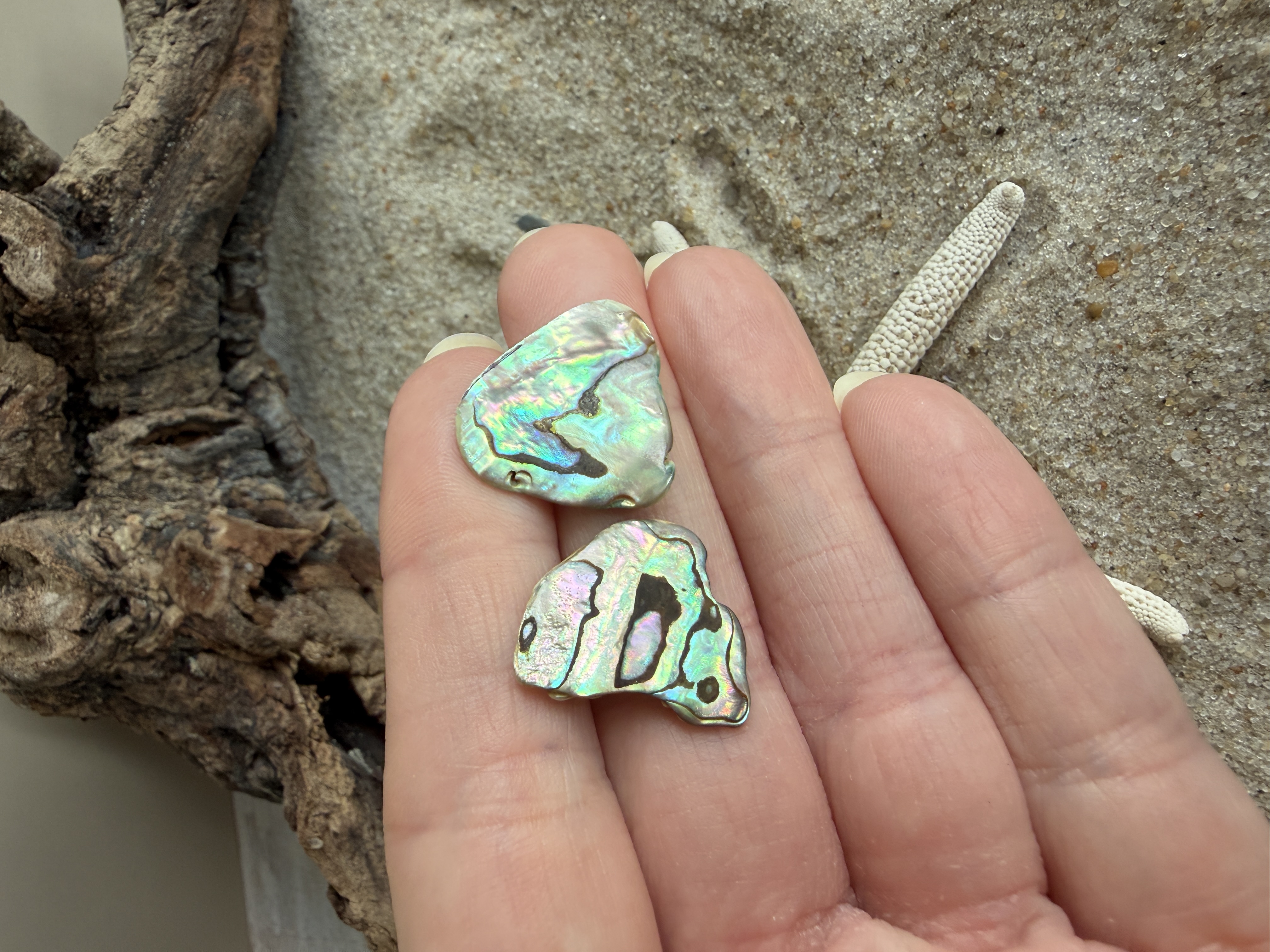 Abalone Shell Studs No. 6 image 2