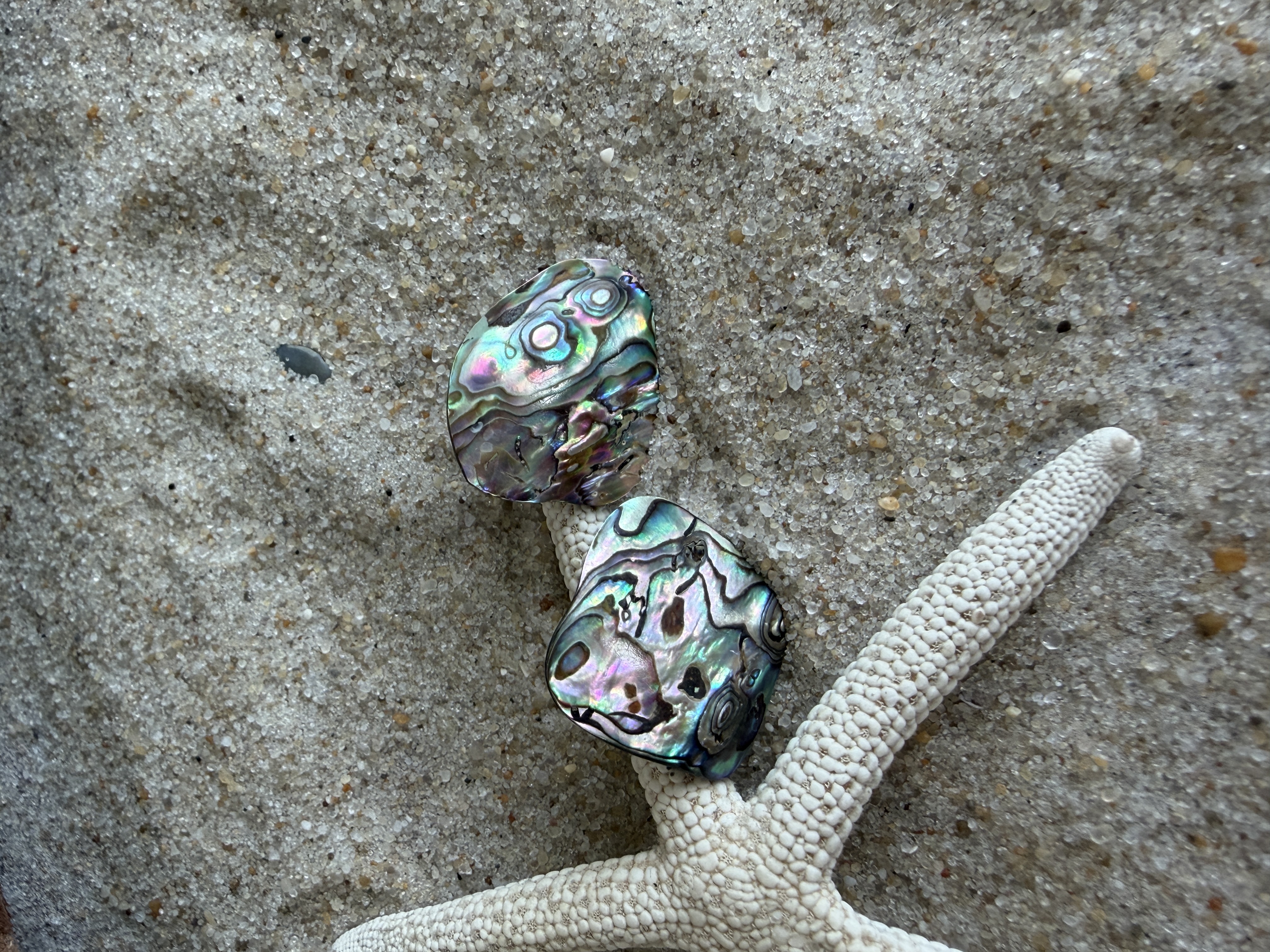 Abalone Shell Studs No. 3 — Handmade by Geena Dykes at Taylor And Caroline