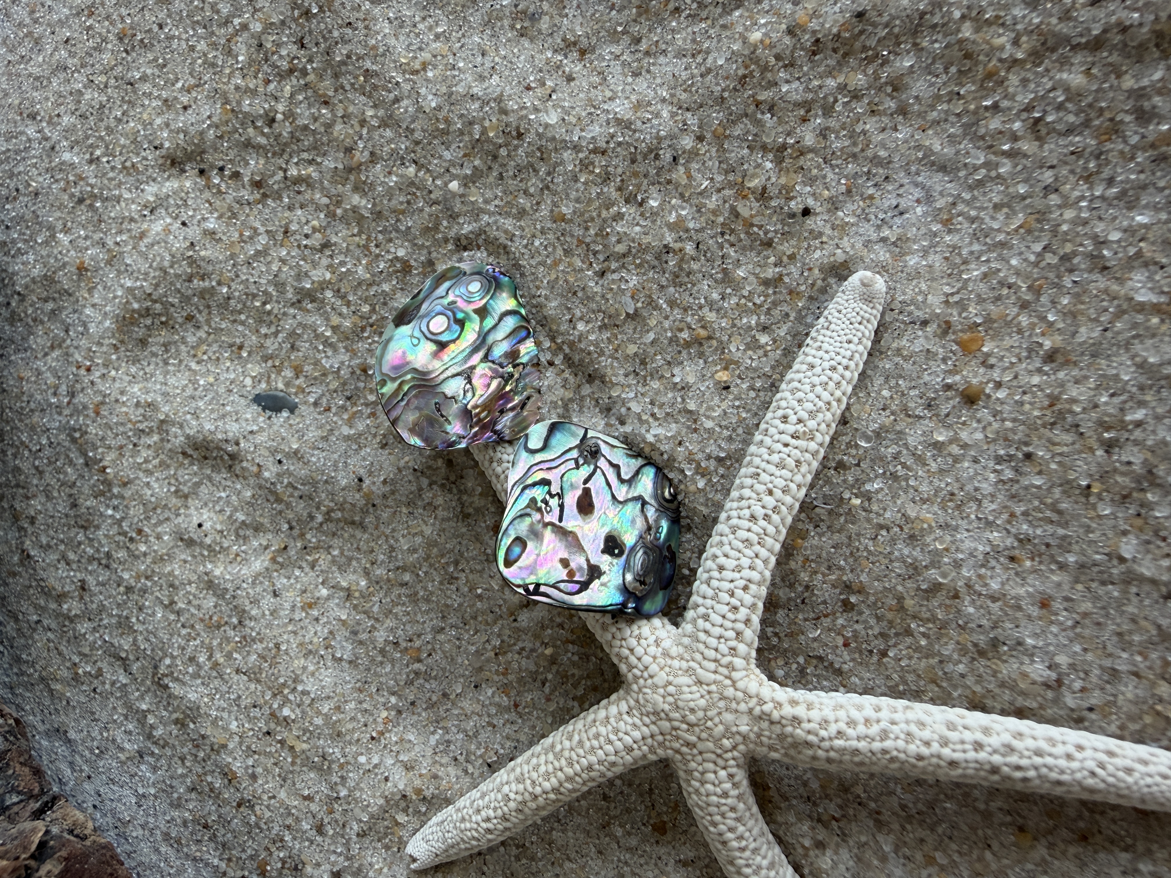 Abalone Shell Studs No. 3 image 3