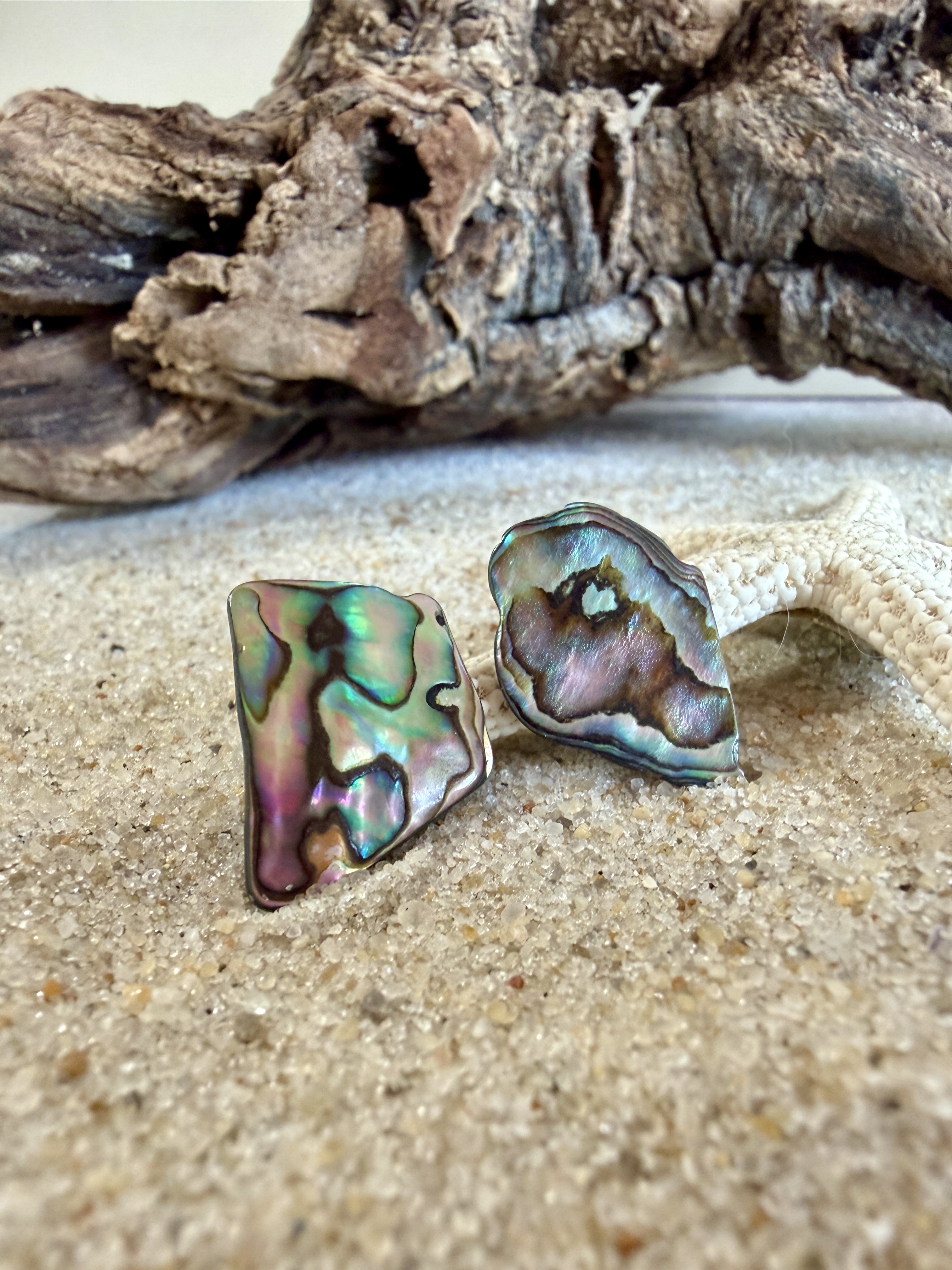 Abalone Shell Studs No. 11 — Handmade by Geena Dykes at Taylor And Caroline