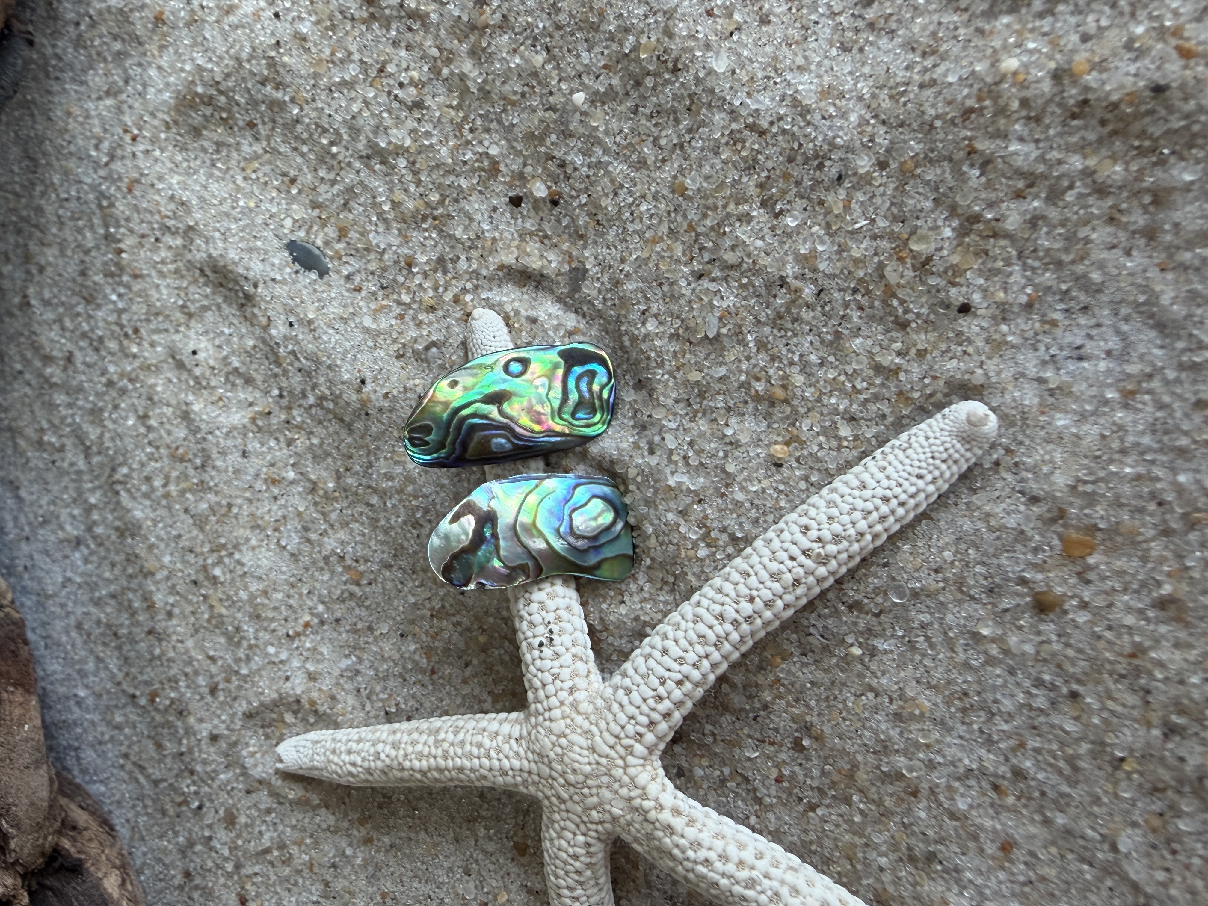 Abalone Shell Studs No. 4 image 4