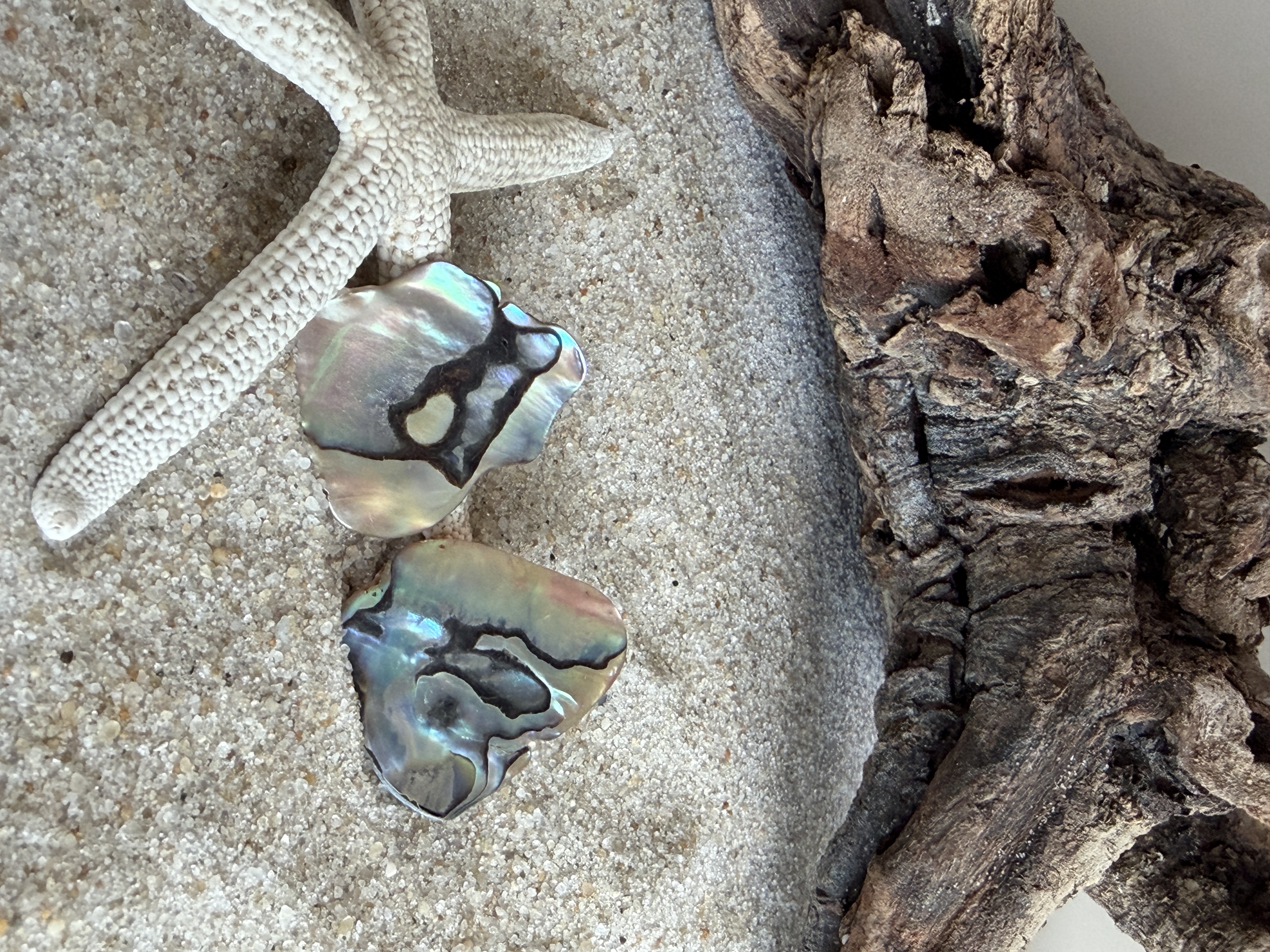 Abalone Shell Studs No. 1 image 3