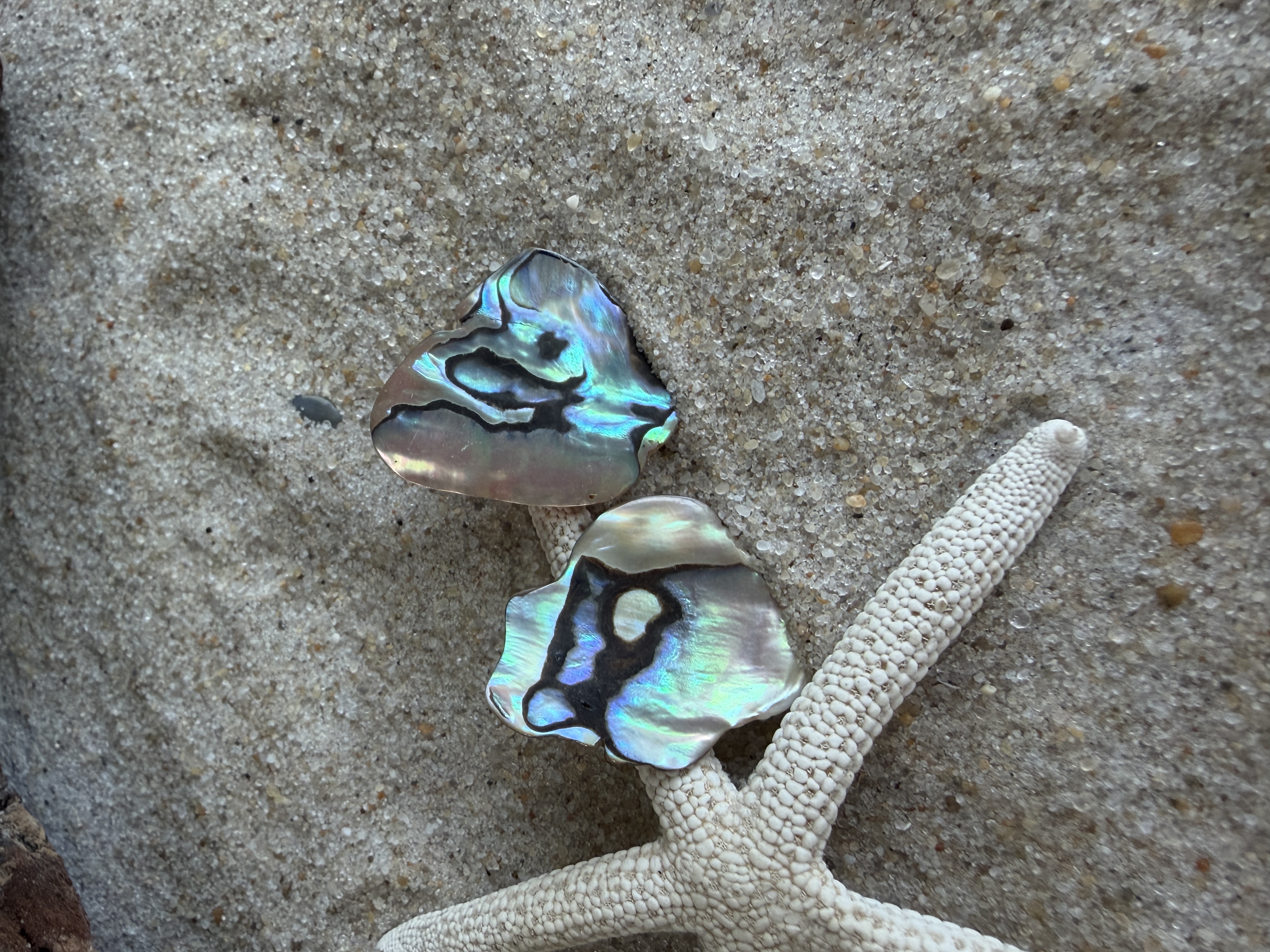 Abalone Shell Studs No. 1 image 5