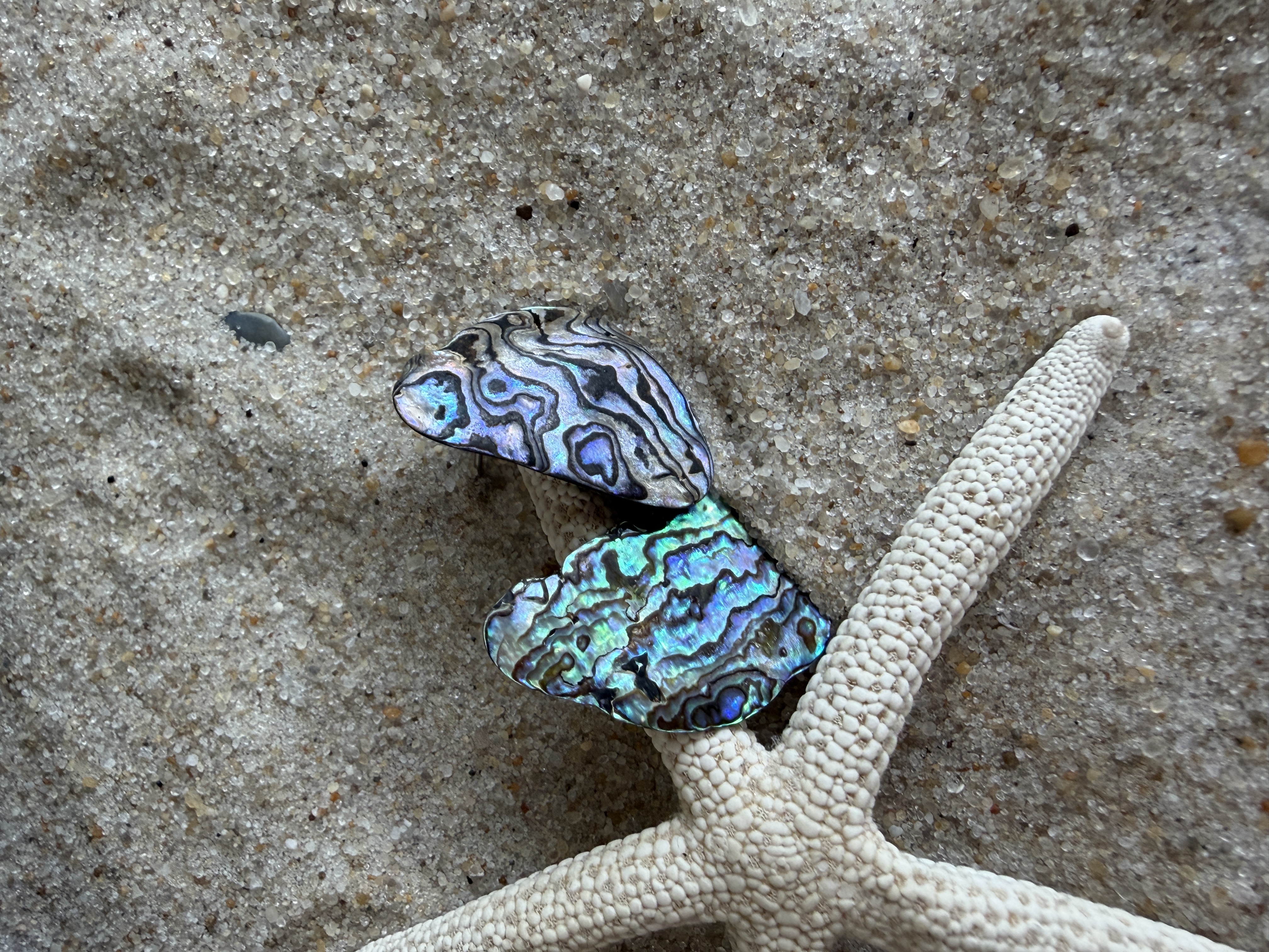 Abalone Shell Studs No. 5 image 3