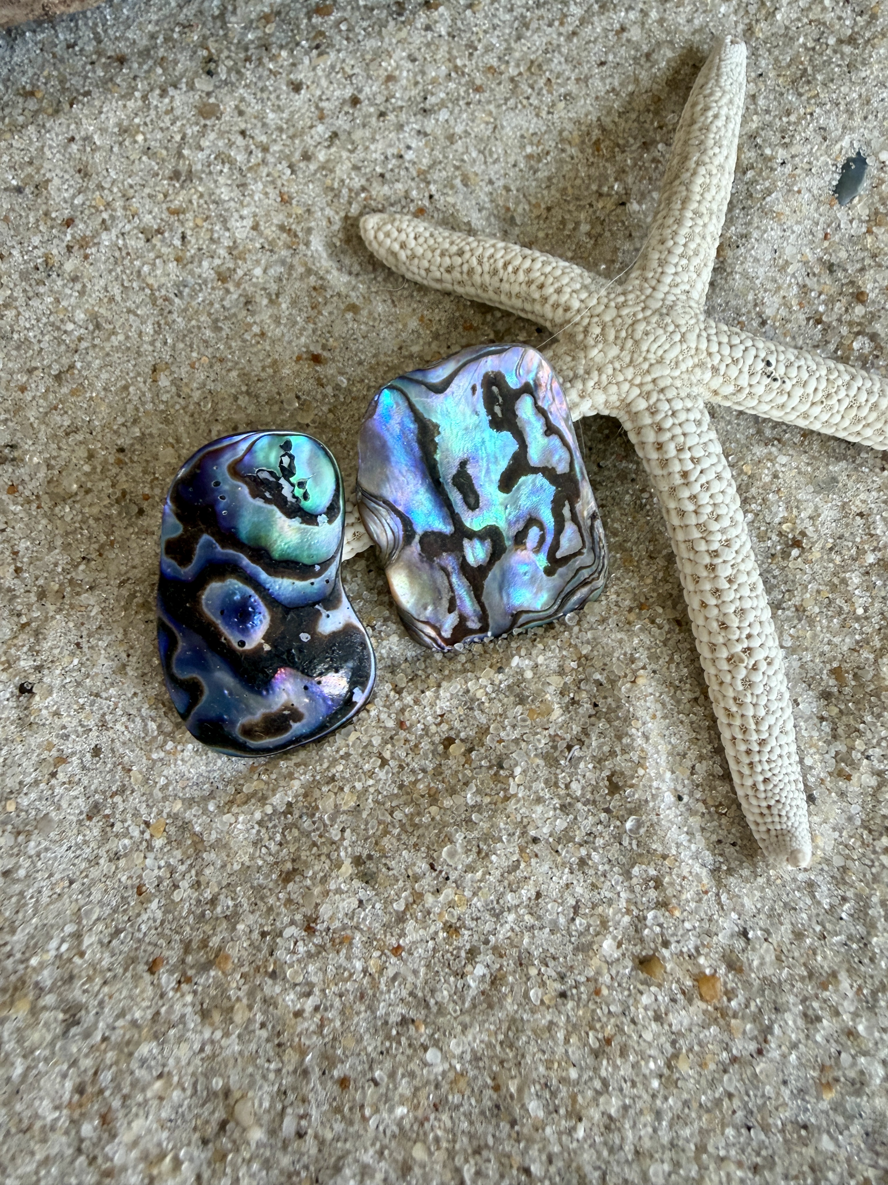 Abalone Shell Studs No. 10 — Handmade by Geena Dykes at Taylor And Caroline