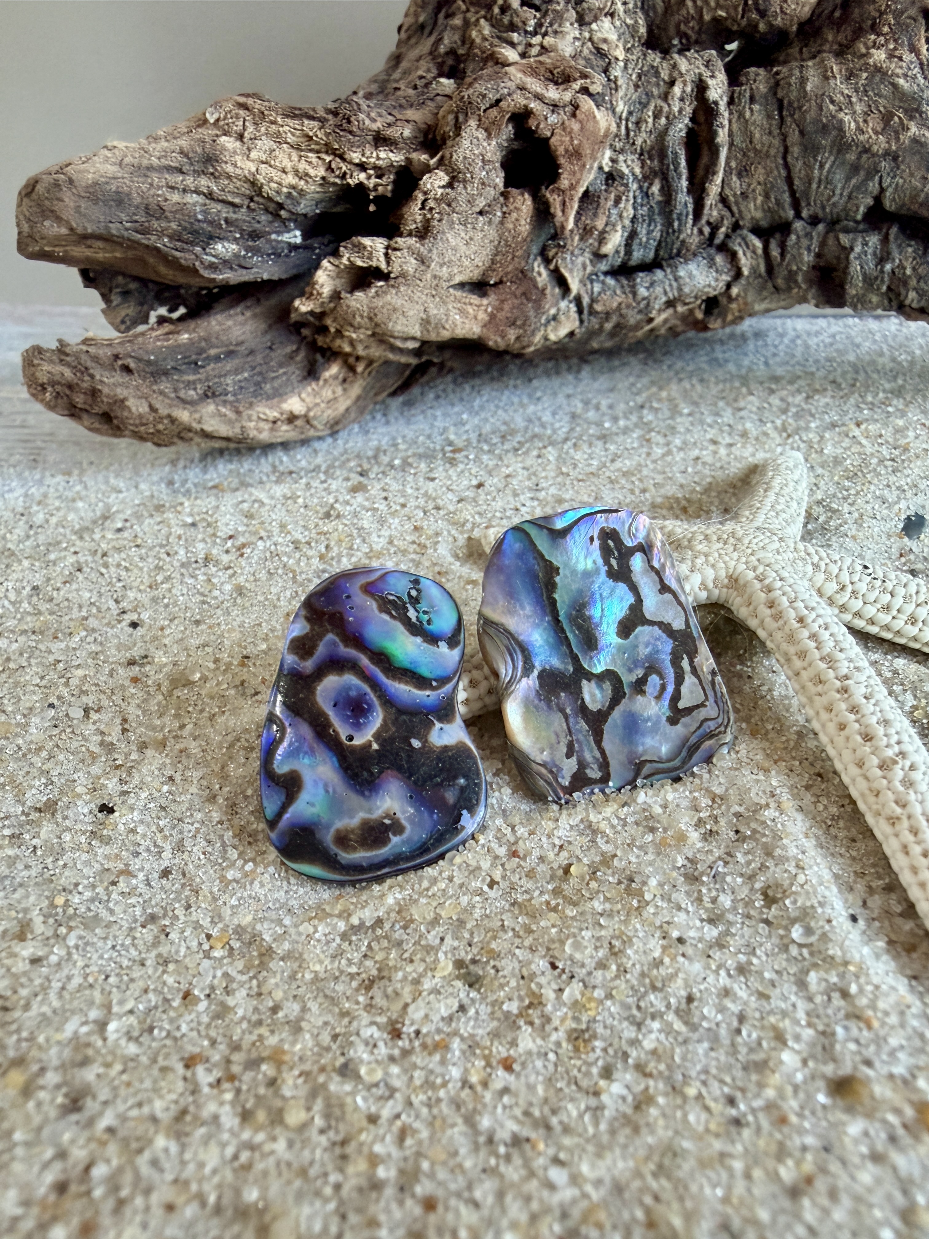 Abalone Shell Studs No. 10 image 3