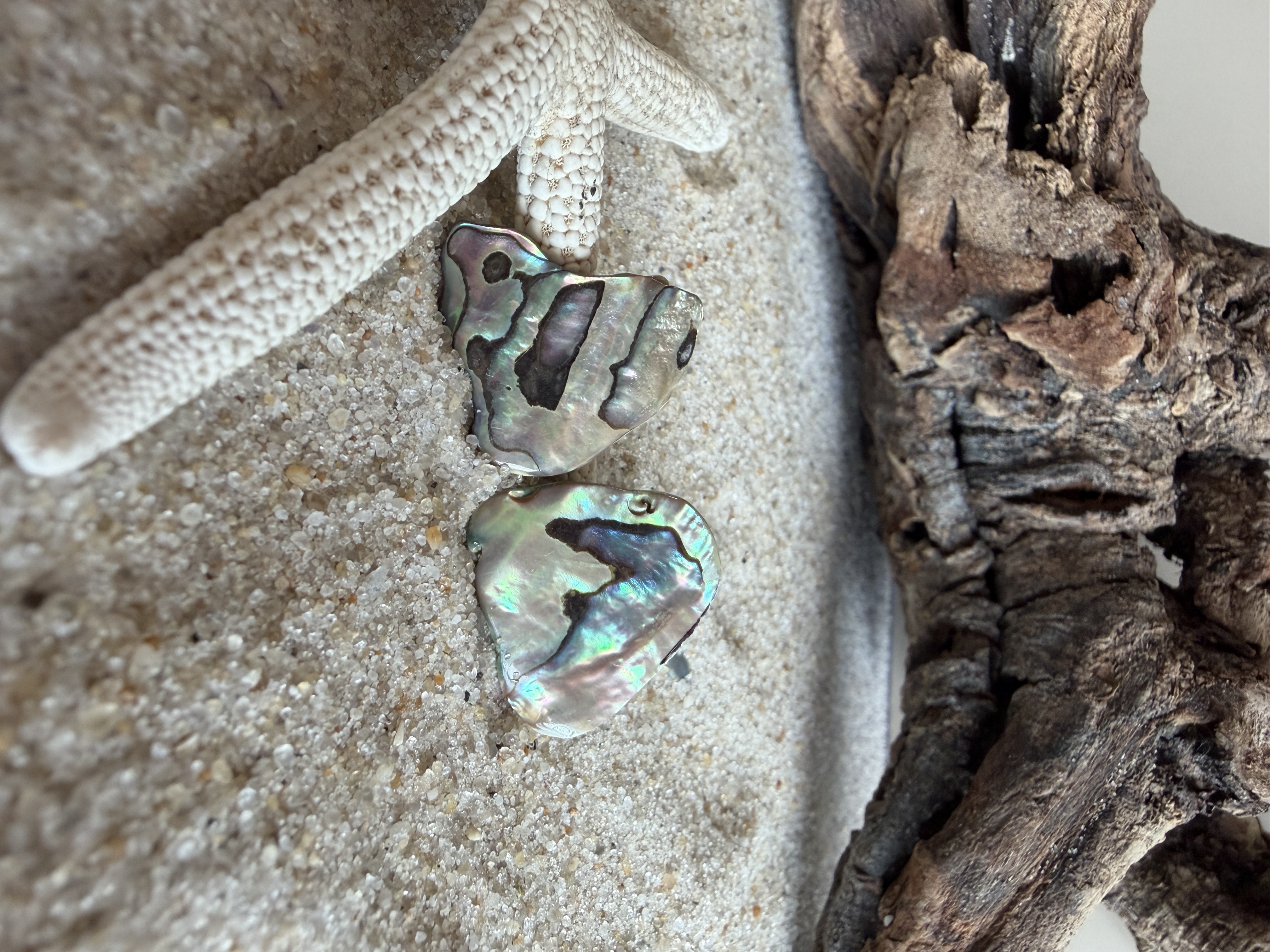 Abalone Shell Studs No. 6 image 4