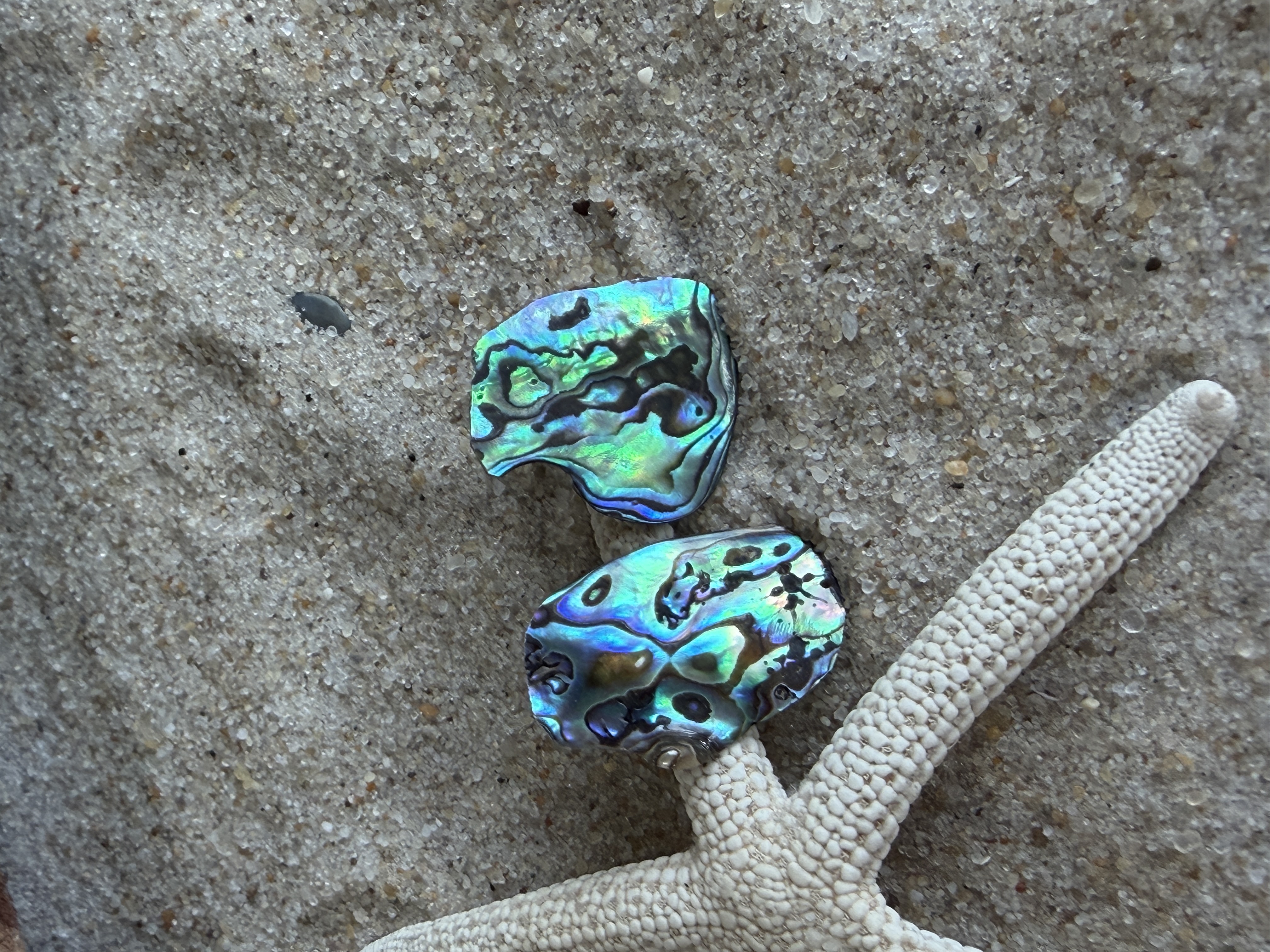 Abalone Shell Studs No. 2 — Handmade by Geena Dykes at Taylor And Caroline