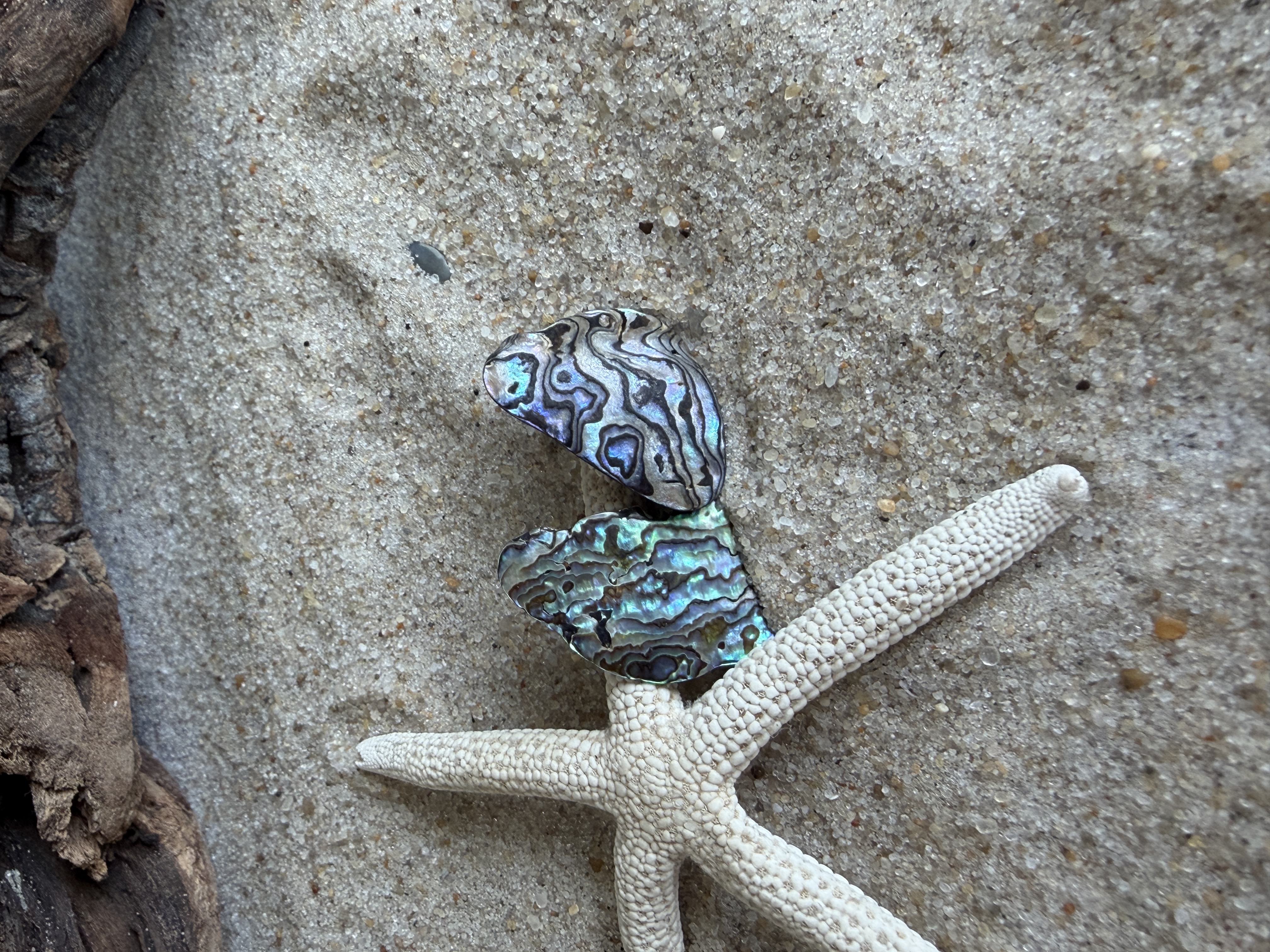 Abalone Shell Studs No. 5 image 5