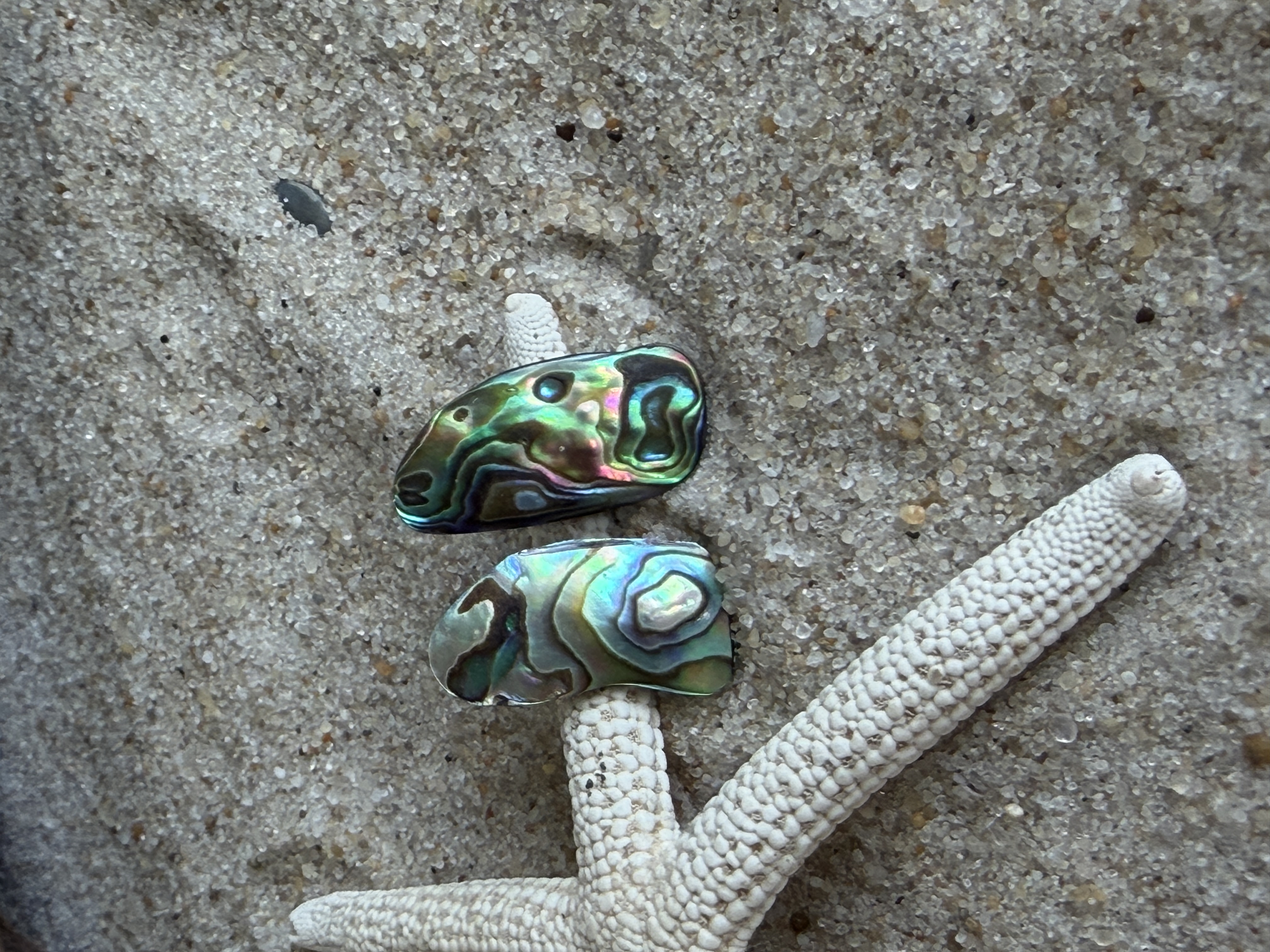 Abalone Shell Studs No. 4 image 3