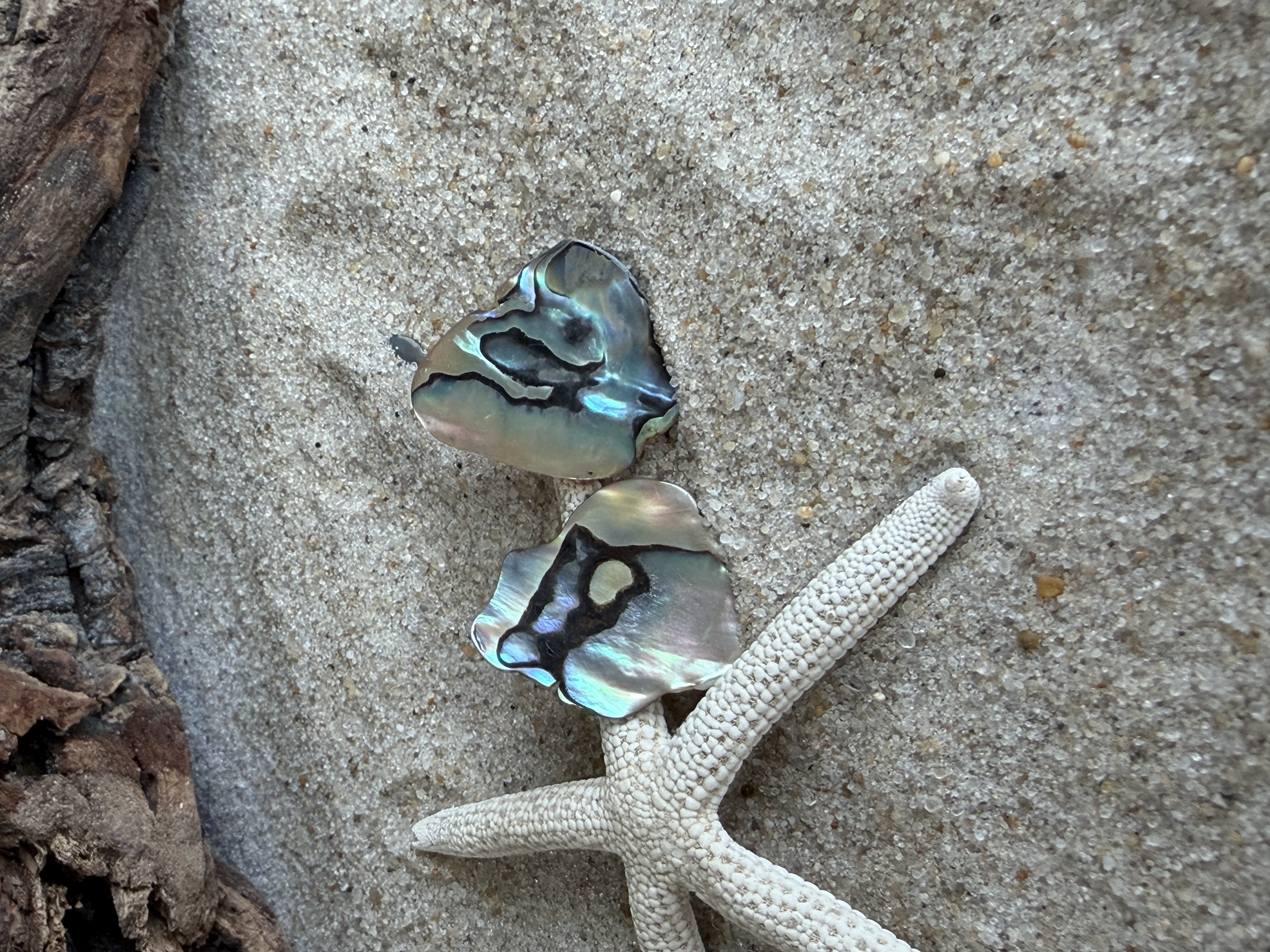 Abalone Shell Studs No. 1 image 4
