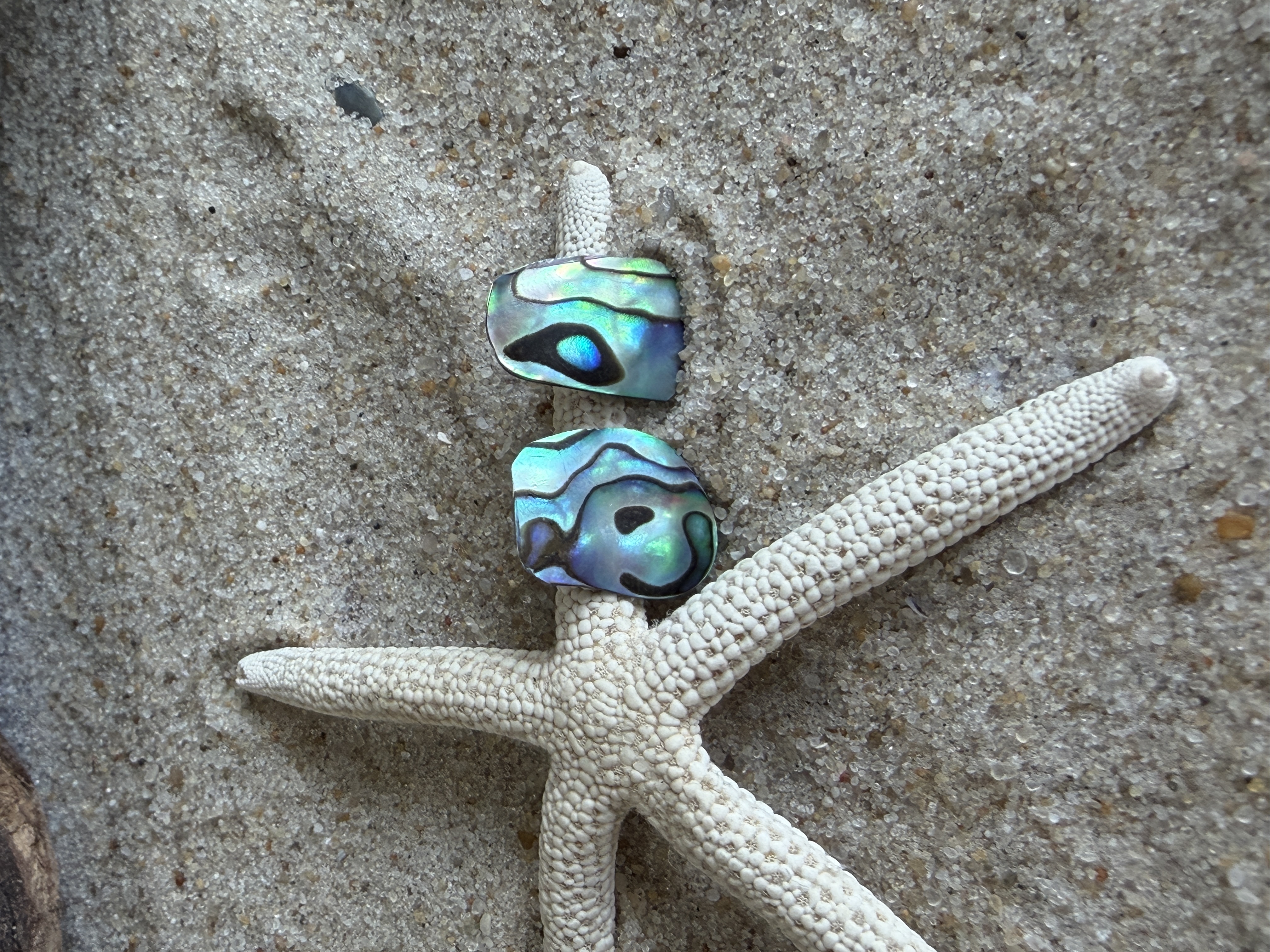 Abalone Shell Studs No. 8
