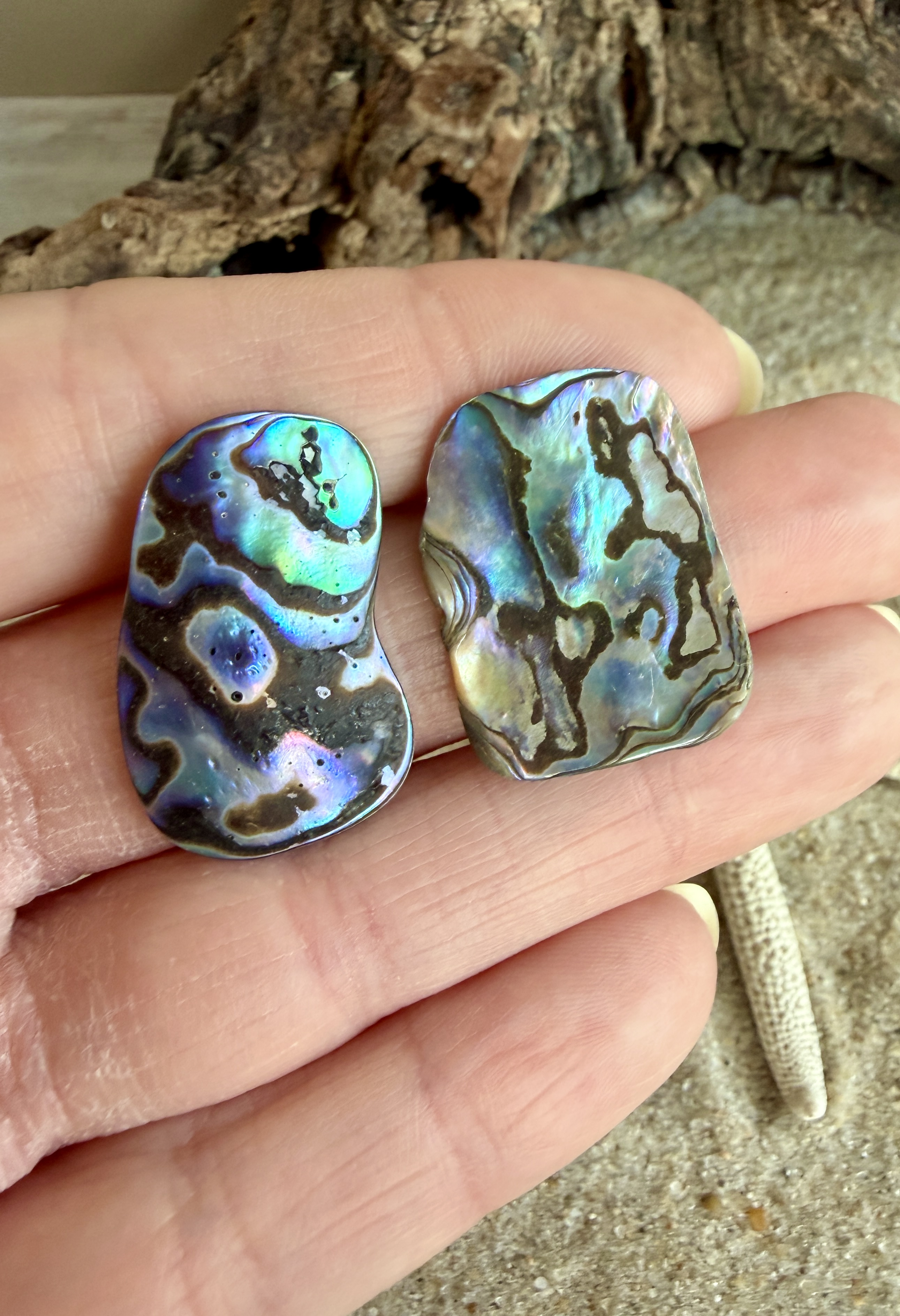 Abalone Shell Studs No. 10 image 4