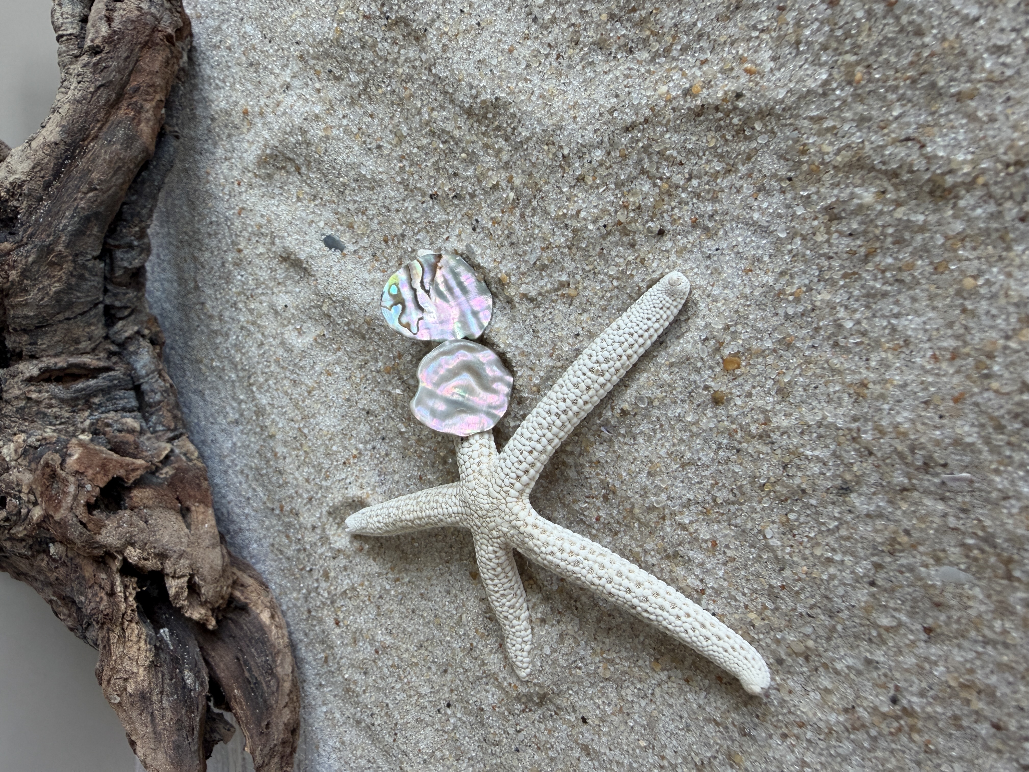 Abalone Shell Studs No. 7 image 4