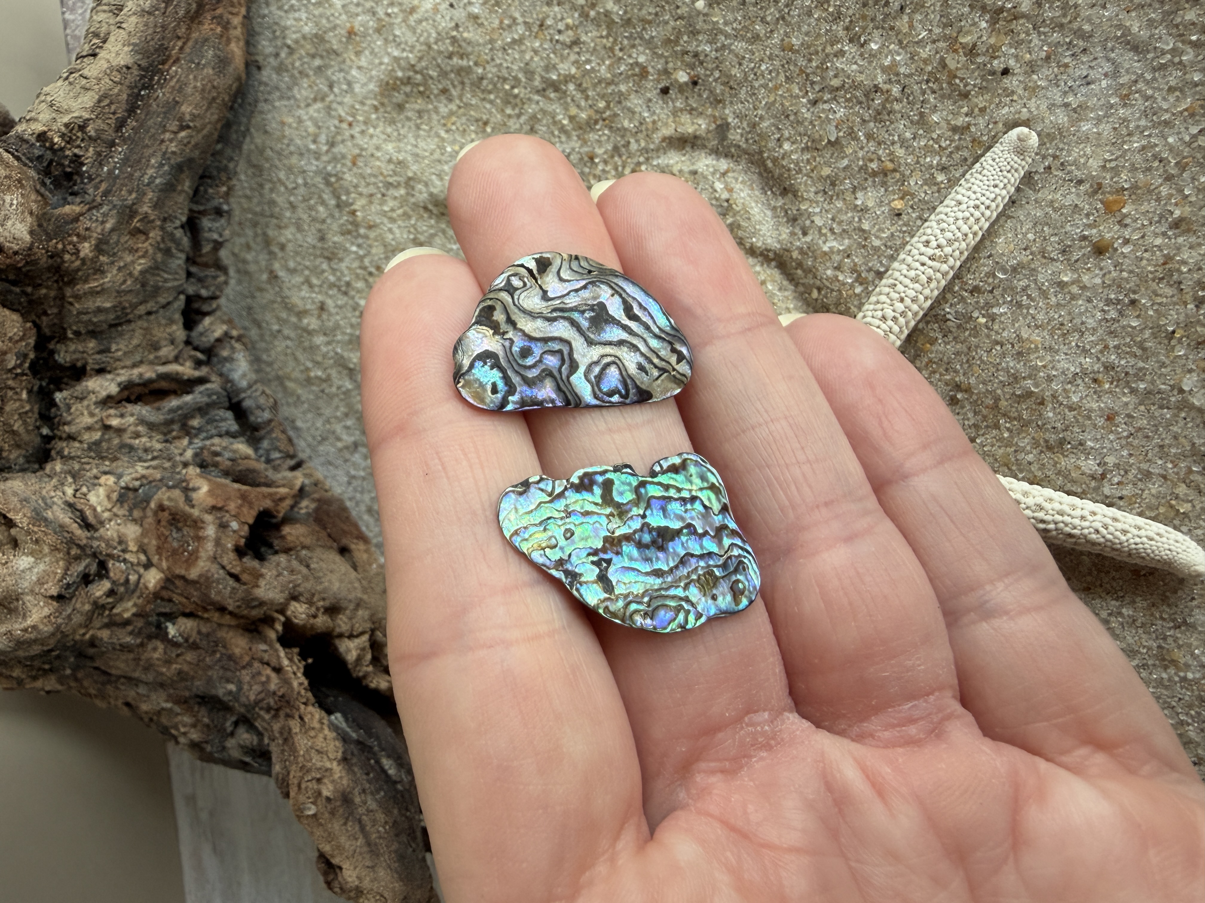 Abalone Shell Studs No. 5 image 2