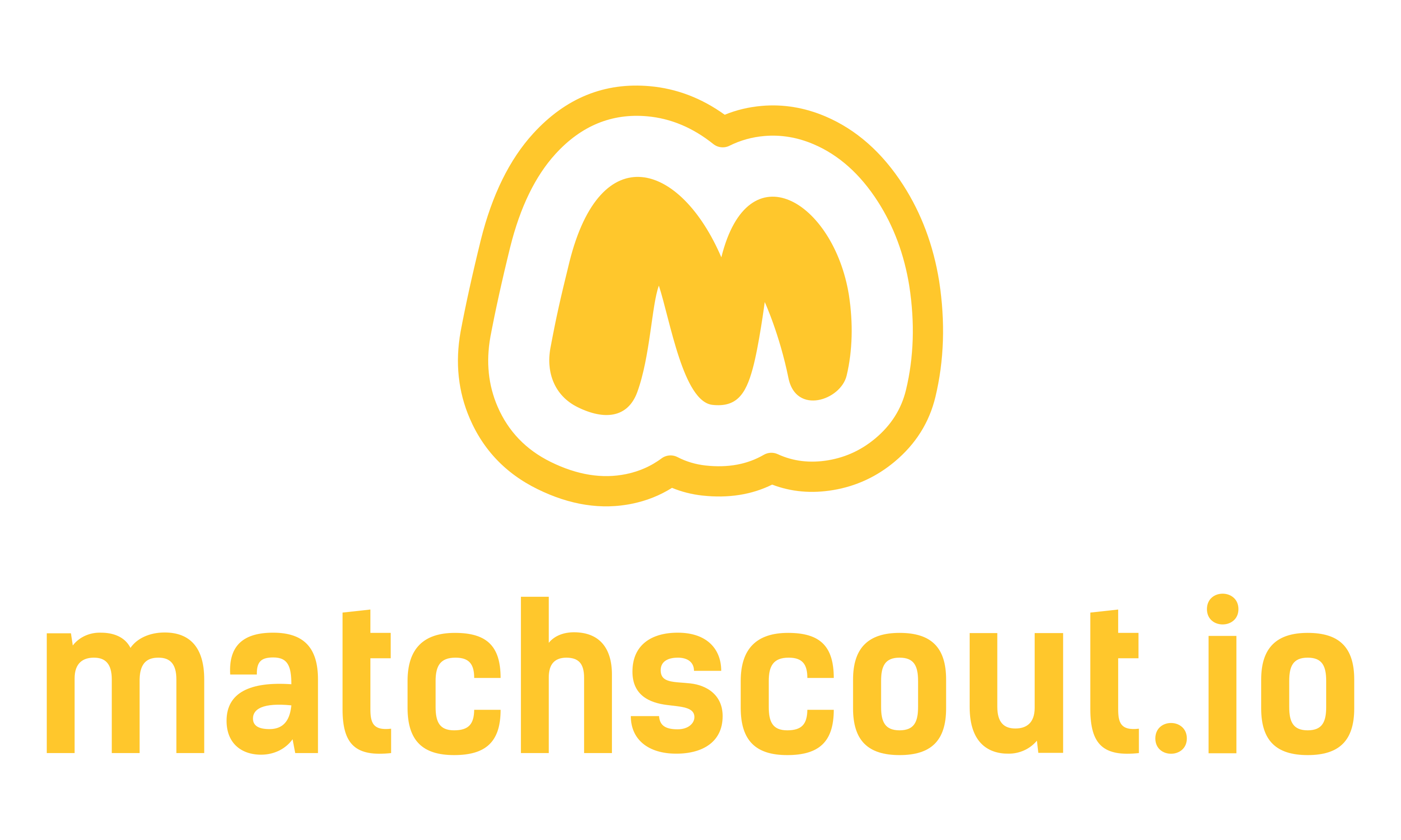 MatchScout.io
