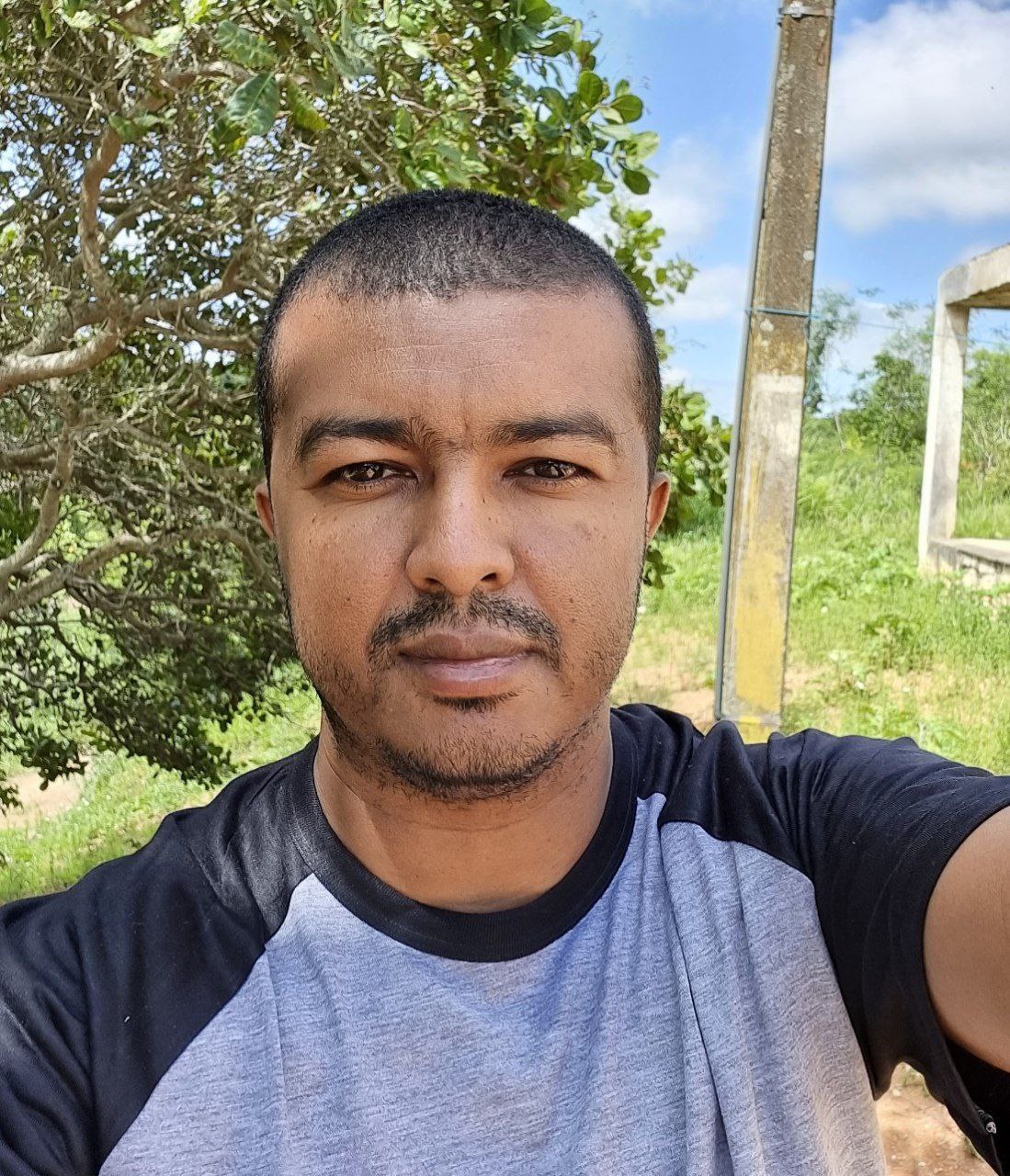 Perfil