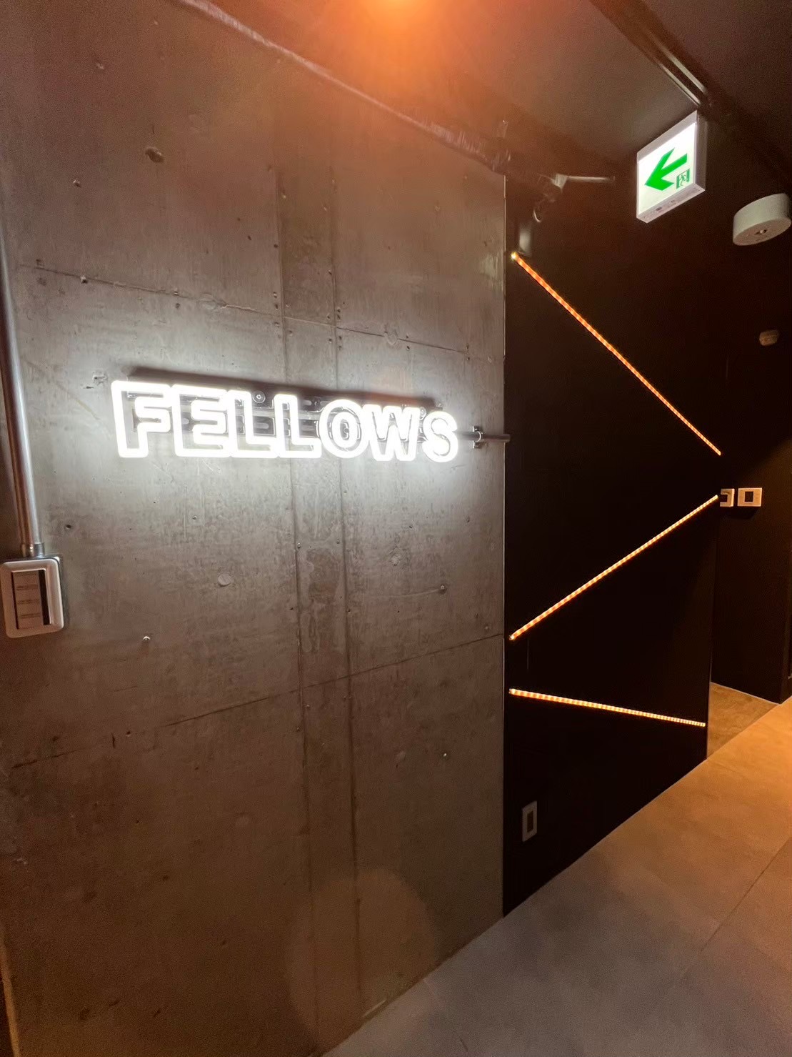 Fellows