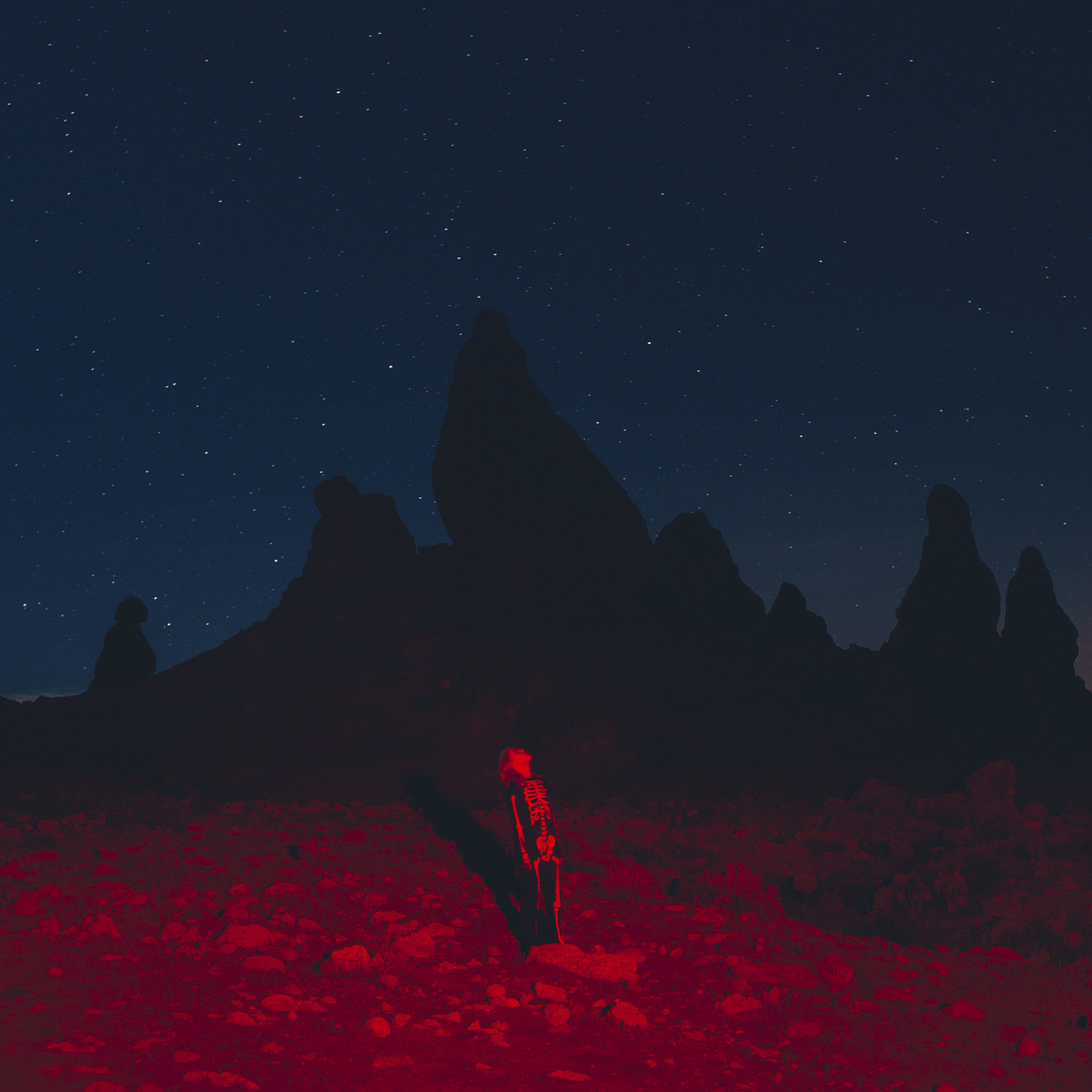 Phoebe Bridgers - Punisher