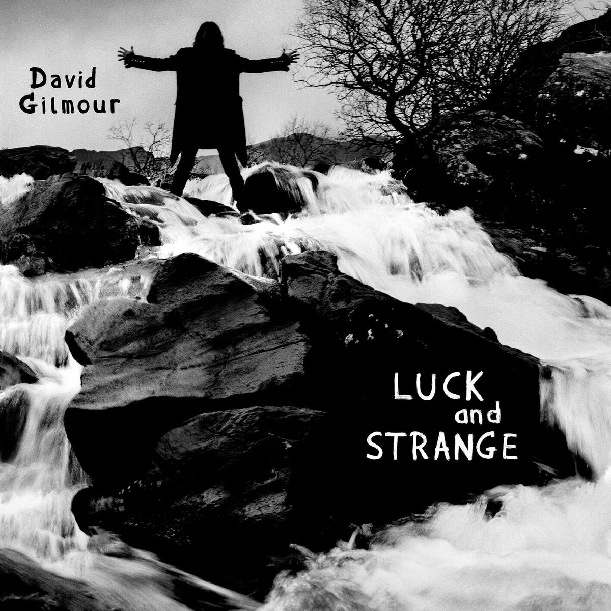 David Gilmour - Luck and Strange - Blue Vinyl