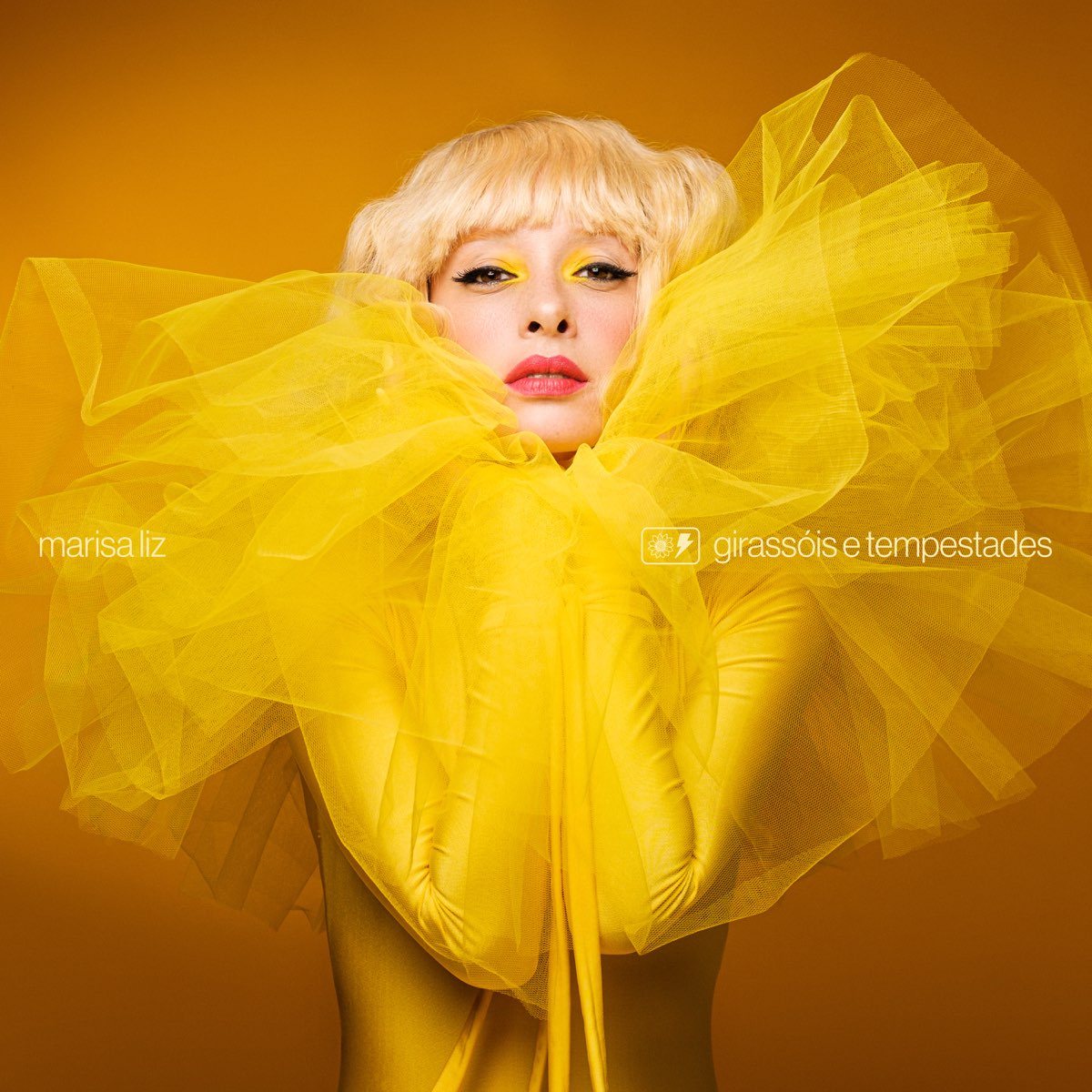 Marisa Liz - Girassóis e Tempestades