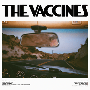The Vacines - Pick Up Full of Pink Carnations