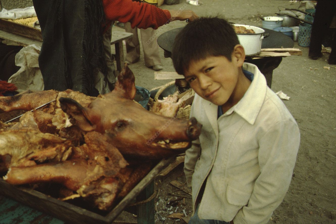 Boy at Indigenous Market with Roasted Suckling Pig