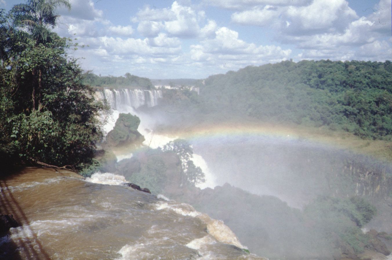 Iguazu Falls with Rainbow and Subtropical Rainforest