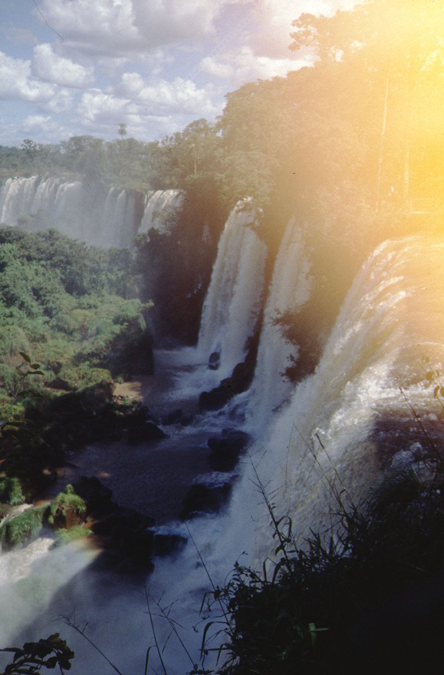 Iguazú Falls: Cascades and Tropical Vegetation