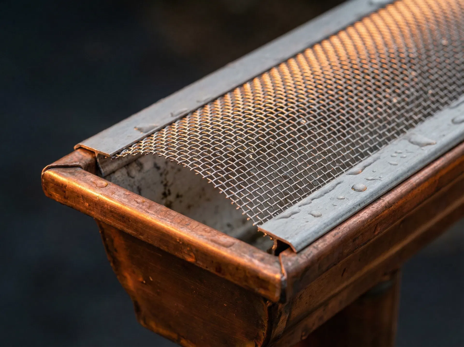 Premium micro-mesh gutter guard installed on Austin home