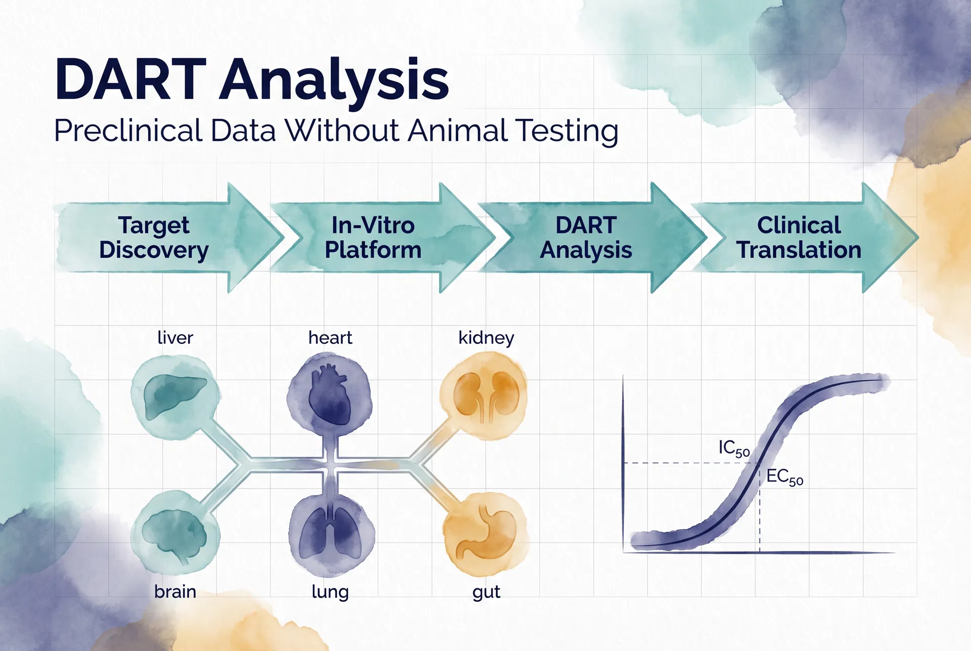 DART Analysis Explained: How Invitron Generates Publication-Quality Preclinical Data Without a Single Animal