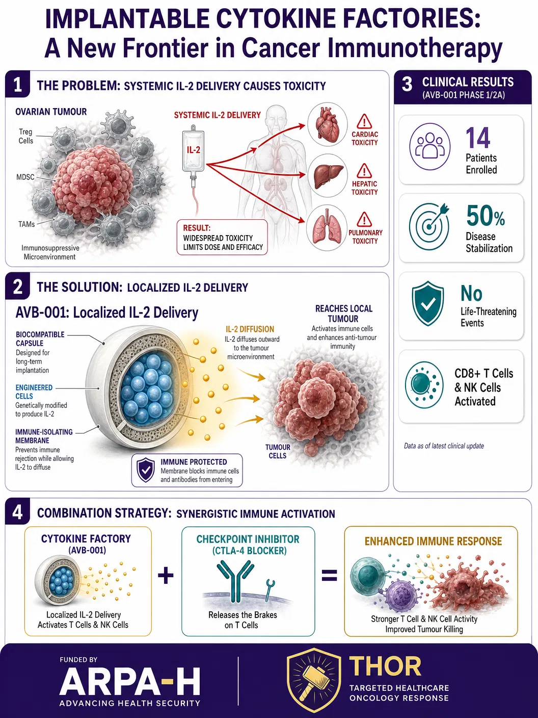 Implantable Cytokine Factories — How Engineered Cell Capsules Are Revolutionising Ovarian Cancer Immunotherapy